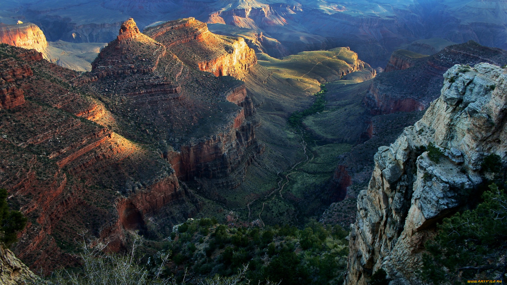 the, grand, canyon, природа, горы, каньон, панорама, растительность