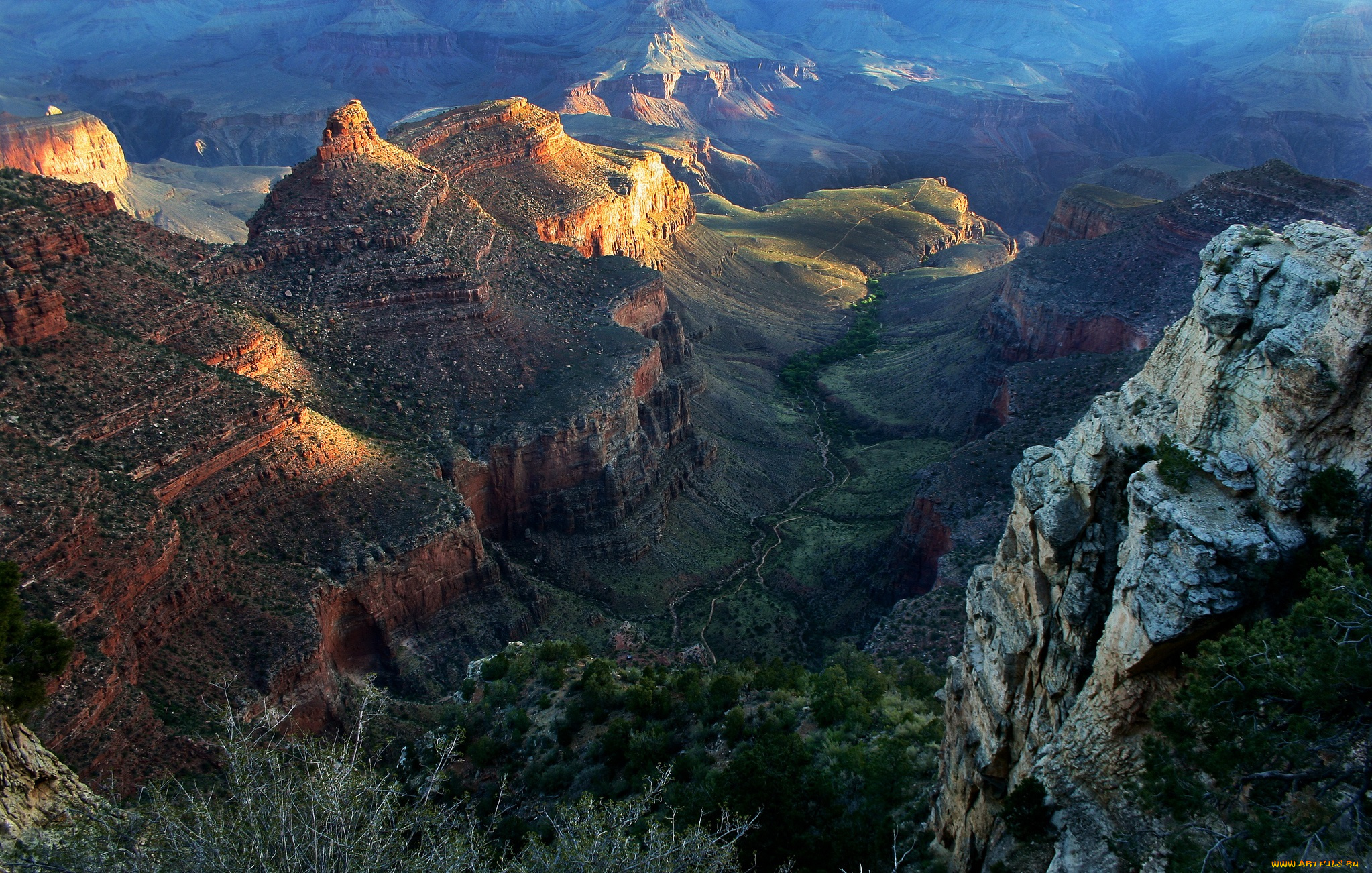 the, grand, canyon, природа, горы, каньон, панорама, растительность
