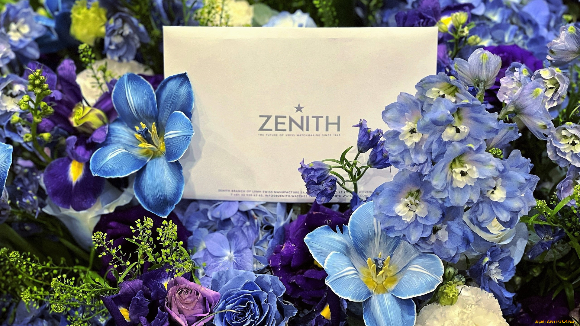бренды, zenith, конверт, цветы, букет