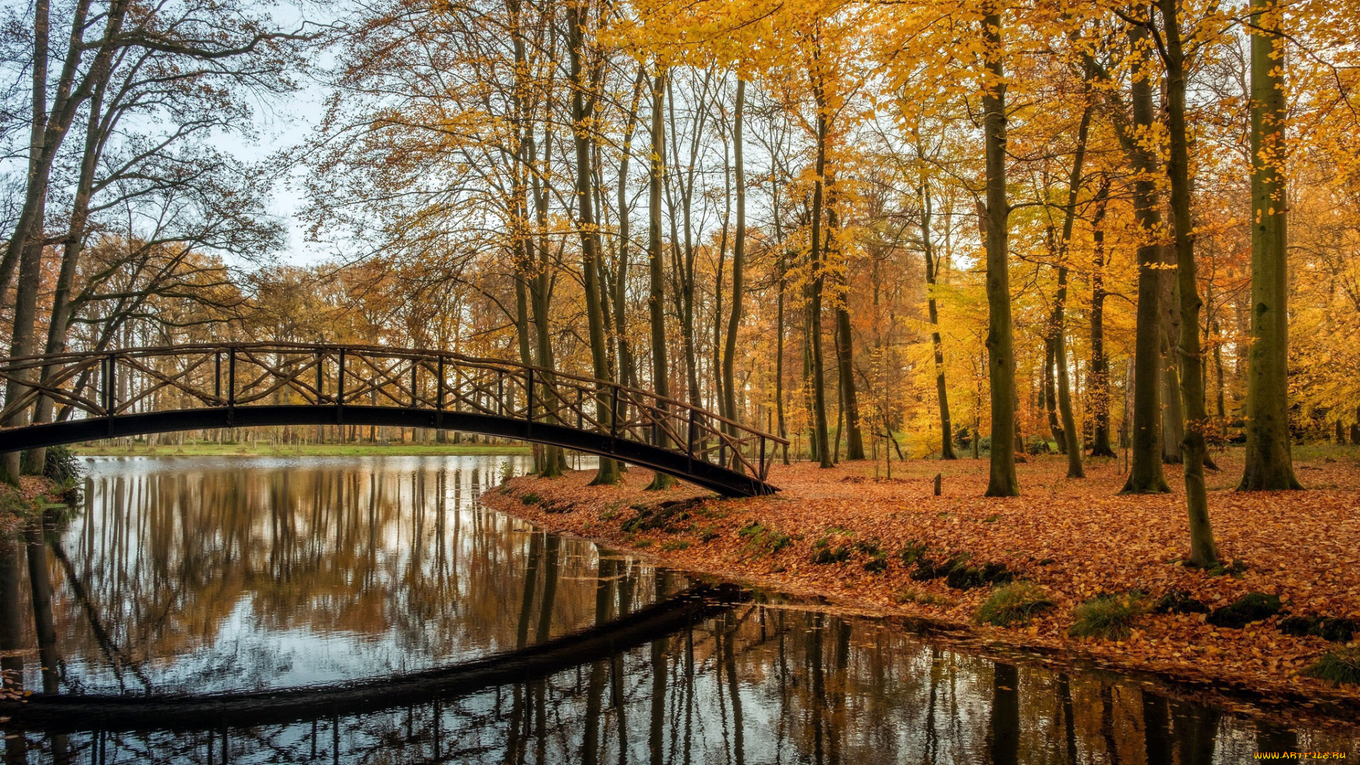 природа, парк, осень, мост, листопад, водоем