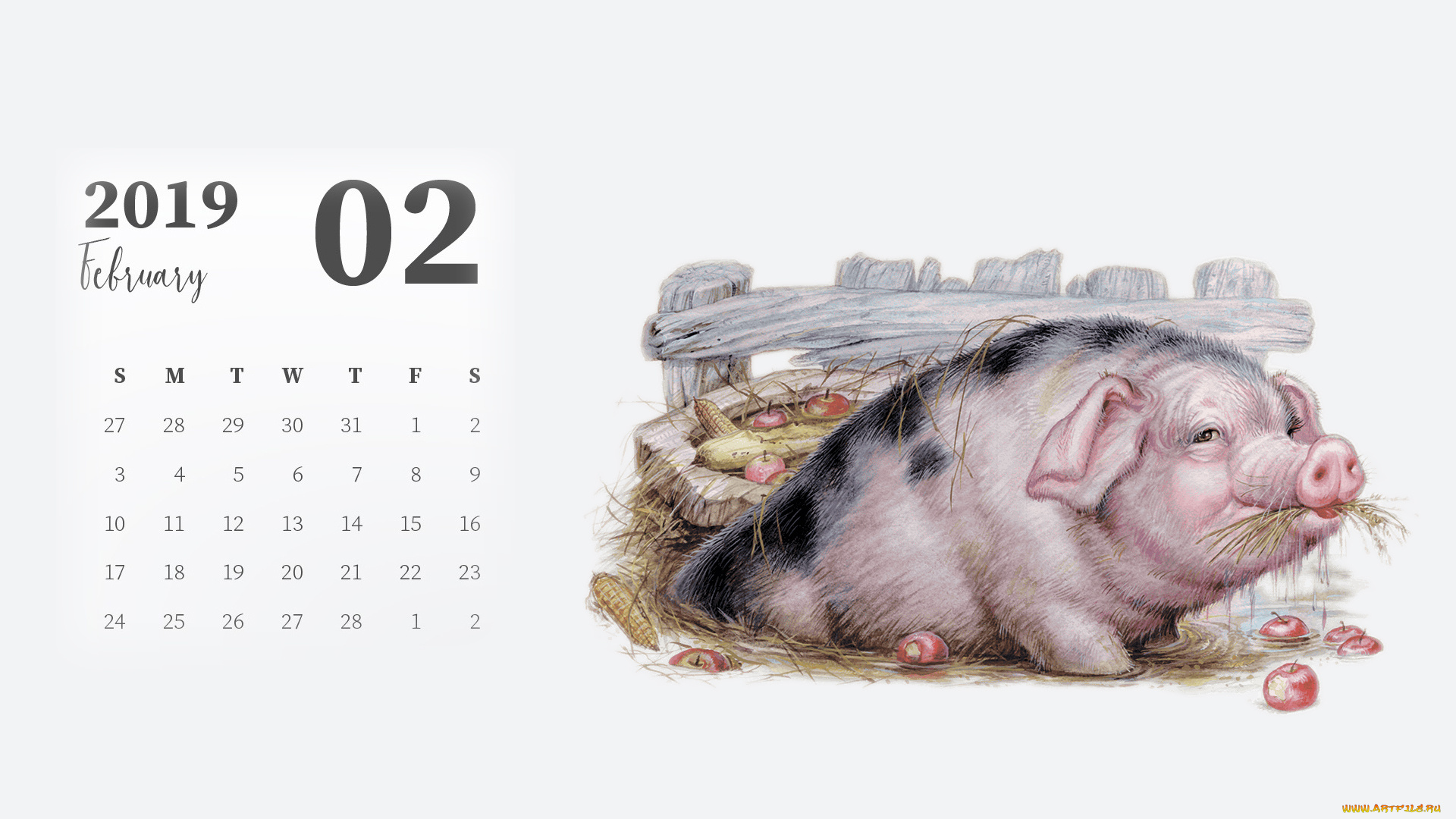 календари, рисованные, , векторная, графика, забор, поросенок, яблоки, свинья