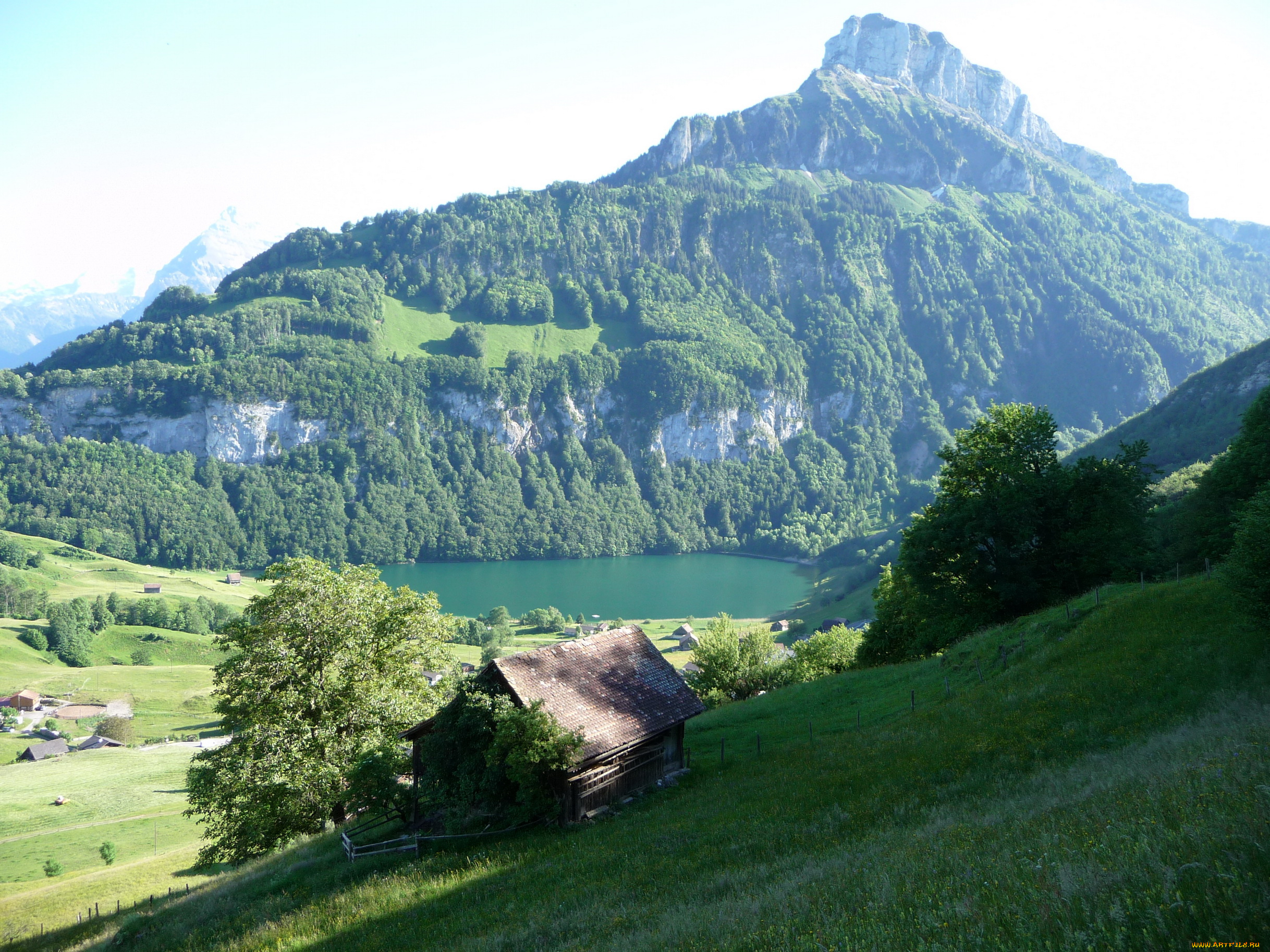 швейцария, ури, зеелисберг, природа, пейзажи, горы, озеро