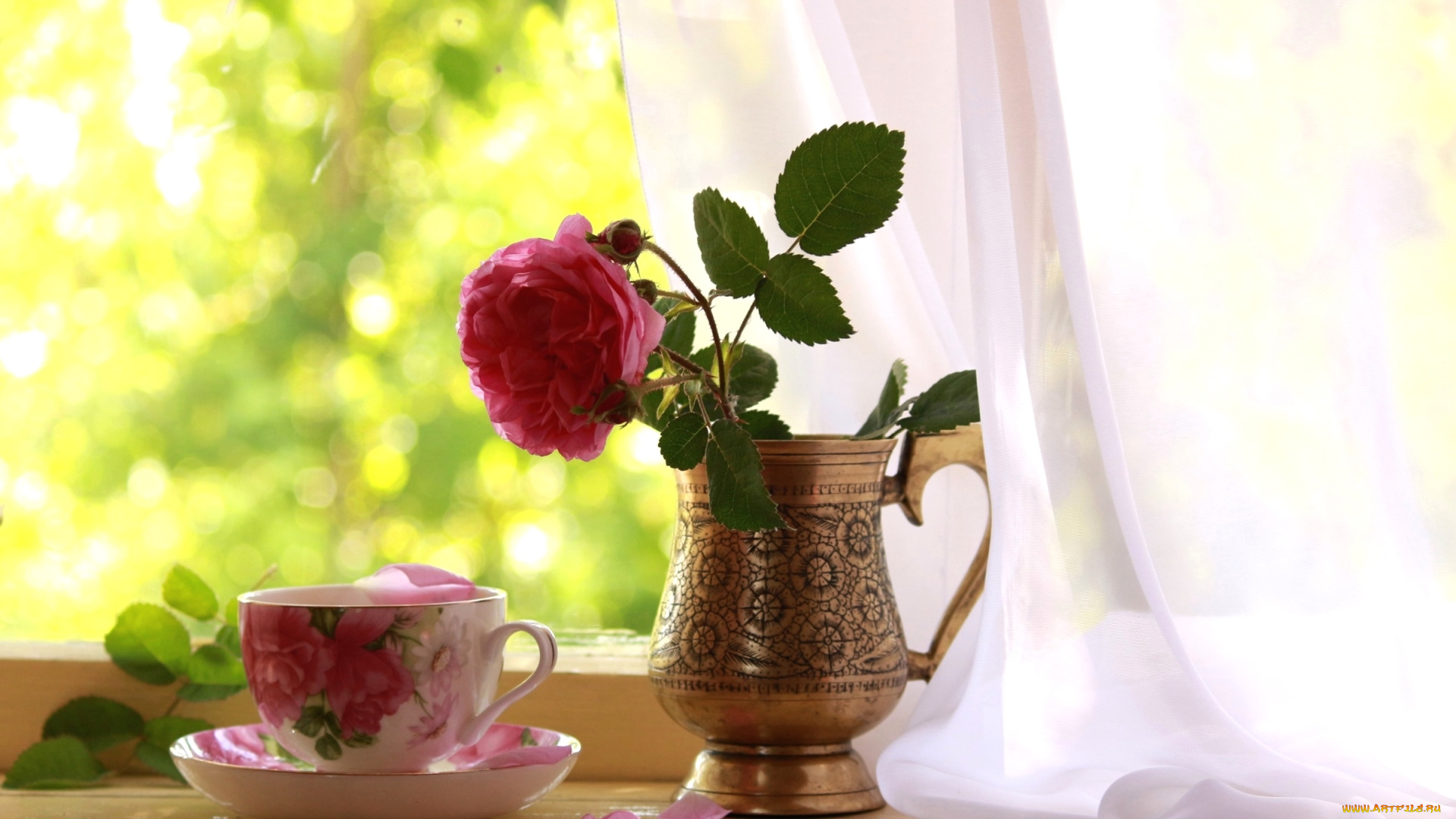 цветы, розы, окно, чашка