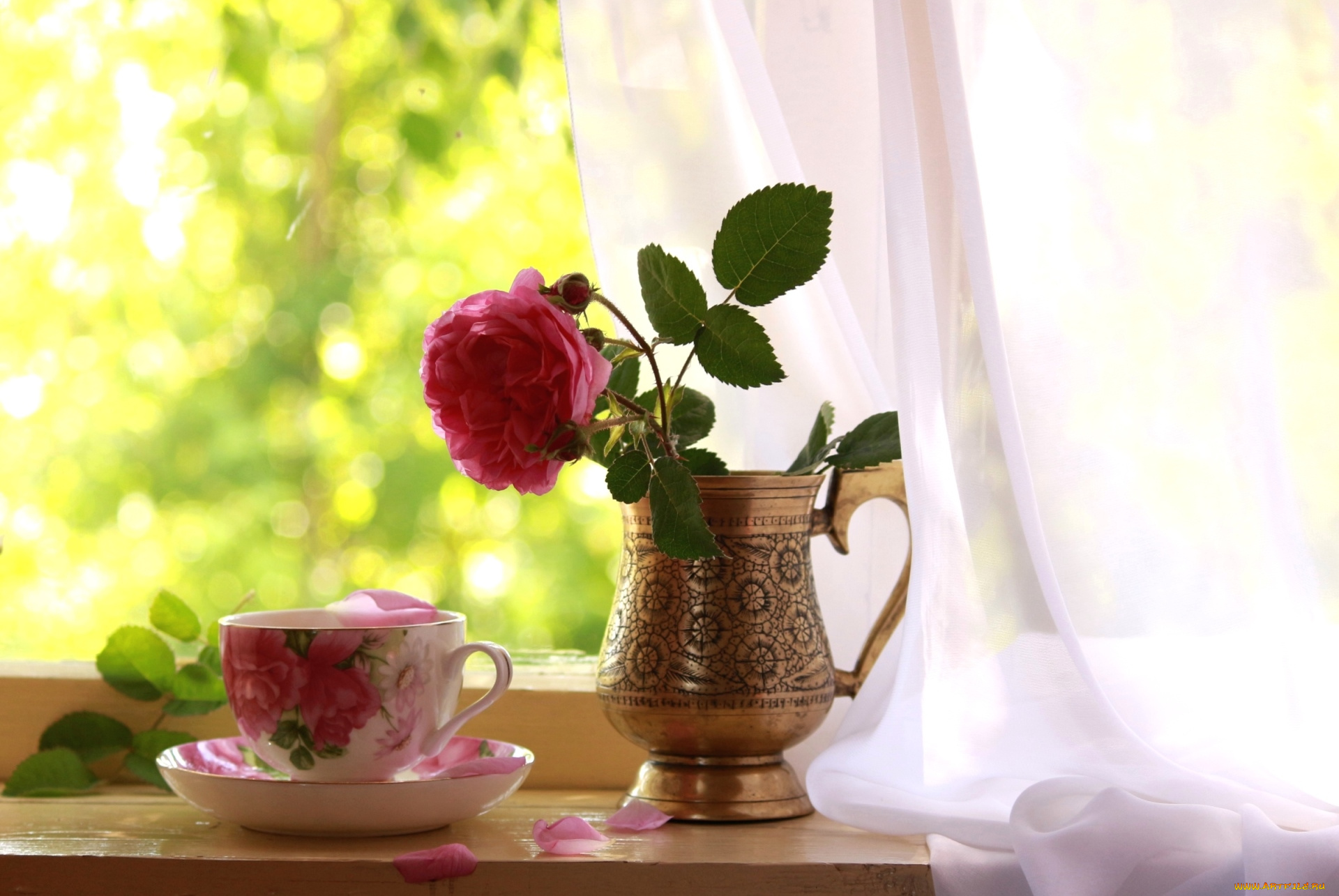 цветы, розы, окно, чашка