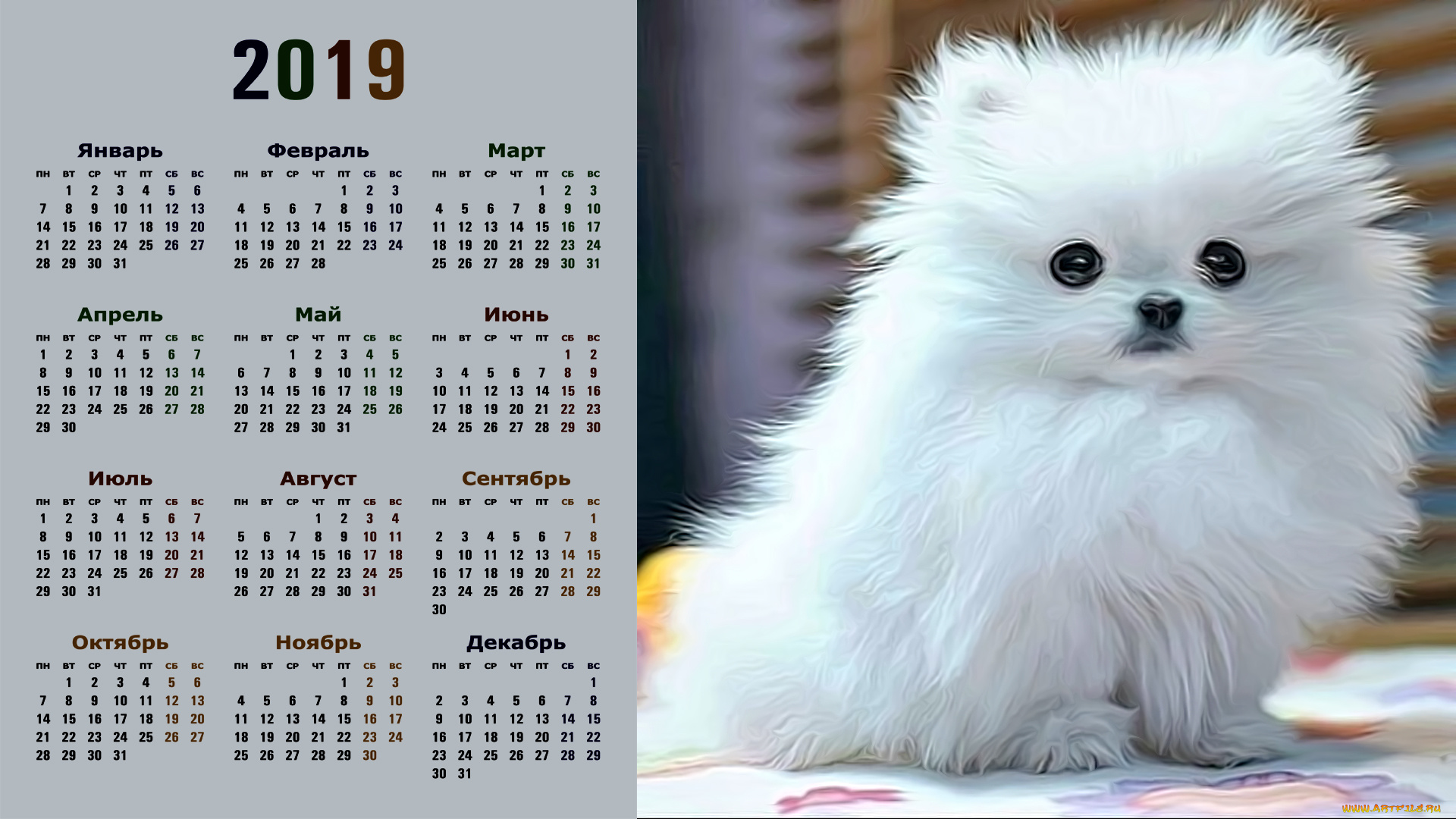 календари, компьютерный, дизайн, взгляд, собака