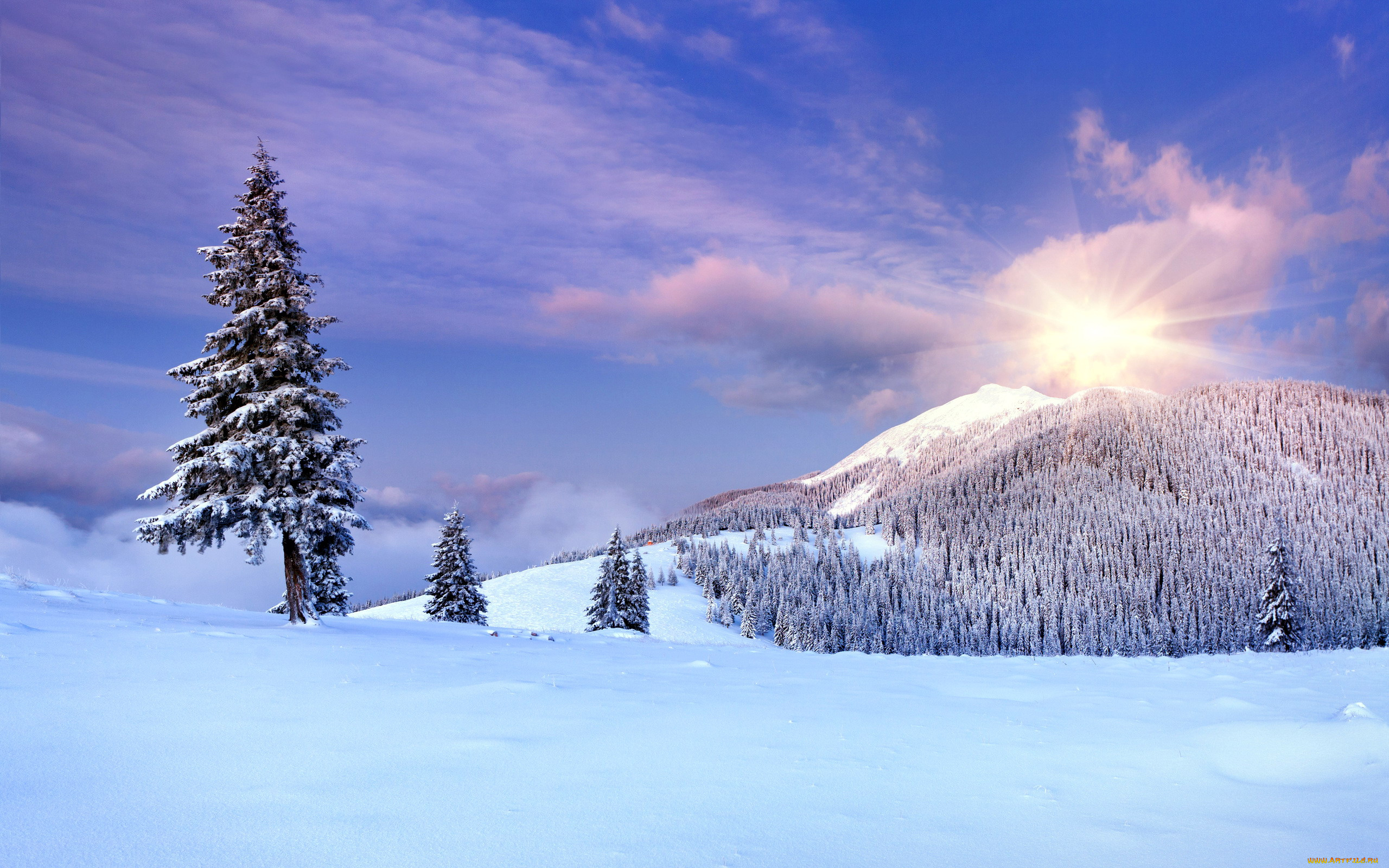 природа, горы, снег, деревья, солнце