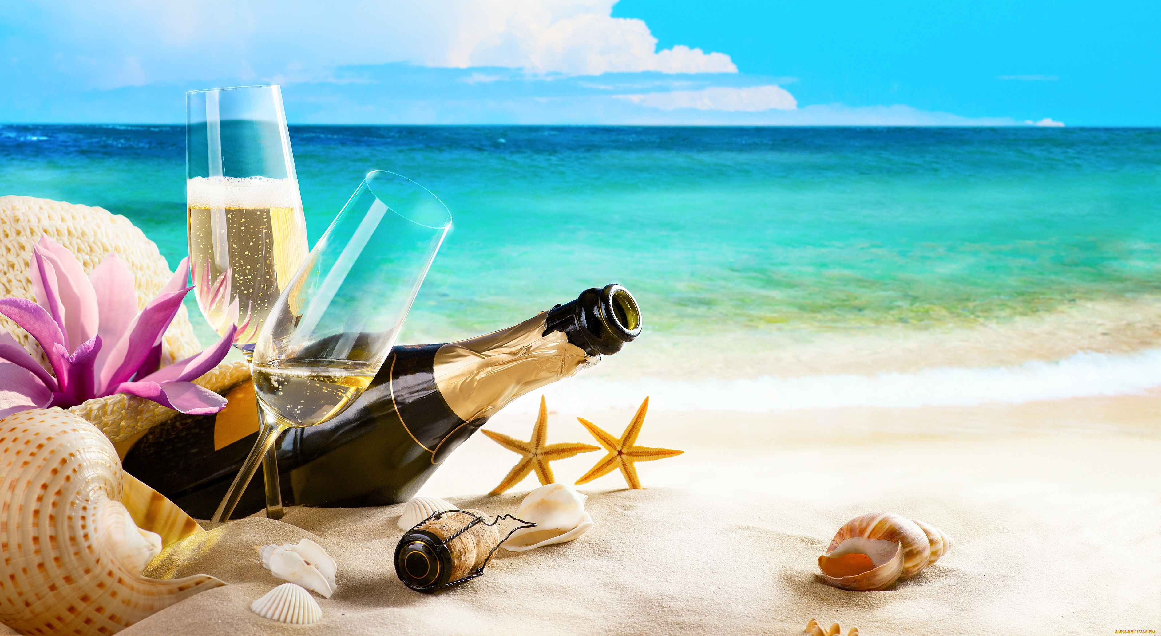 еда, напитки, , вино, море, пляж, песок, бутылка, бокалы, ракушка, шампанское
