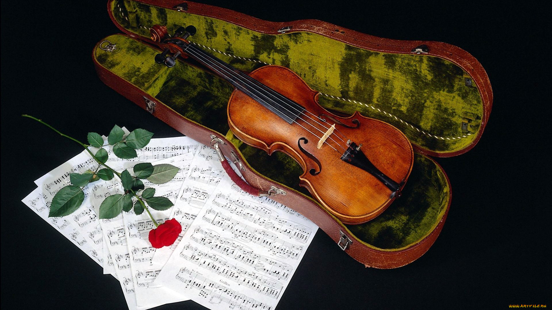 музыка, -музыкальные, инструменты, роза, футляр, ноты, скрипка
