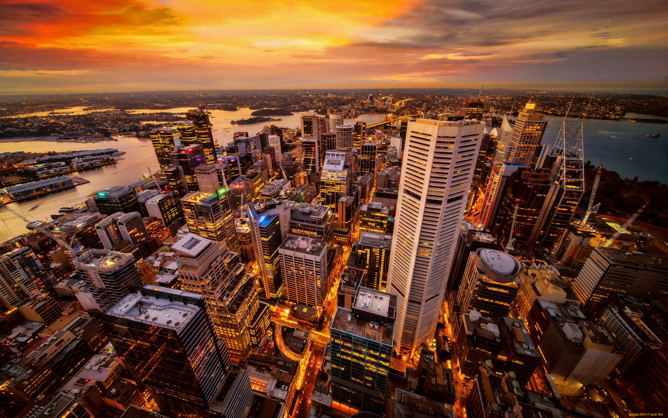 города, сидней, , австралия, панорама