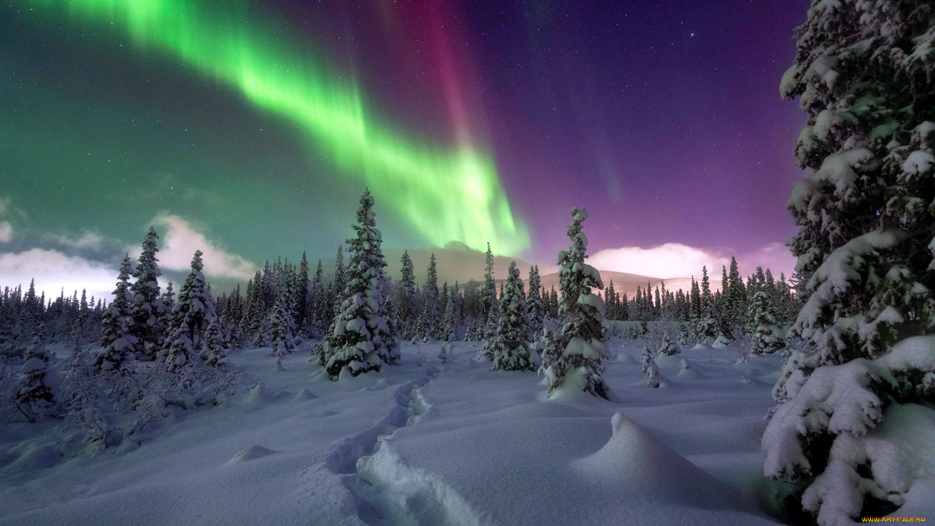 northern, lights, alaska, природа, северное, сияние, northern, lights
