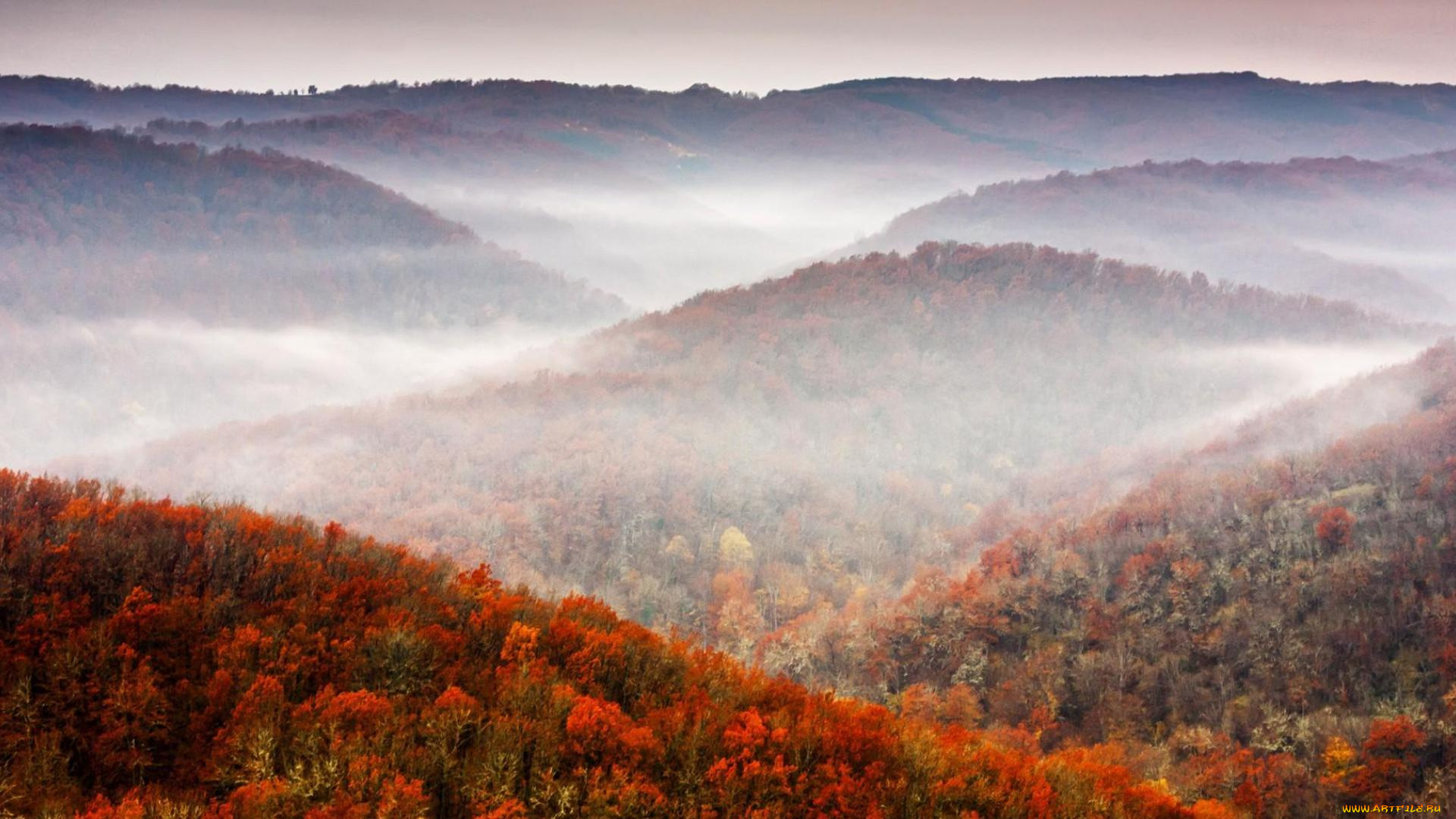 природа, горы, осень, лес, деревья, туман