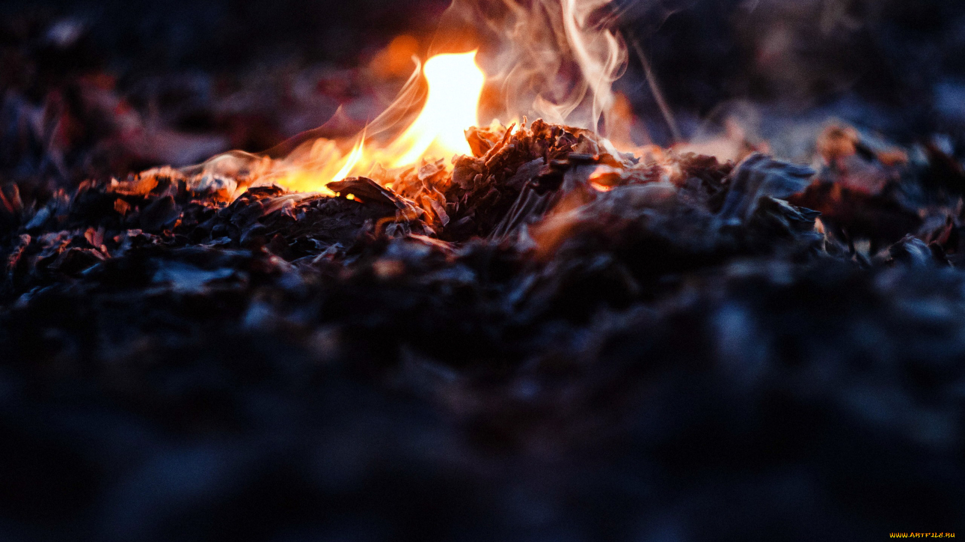 природа, огонь, пепел, пламя