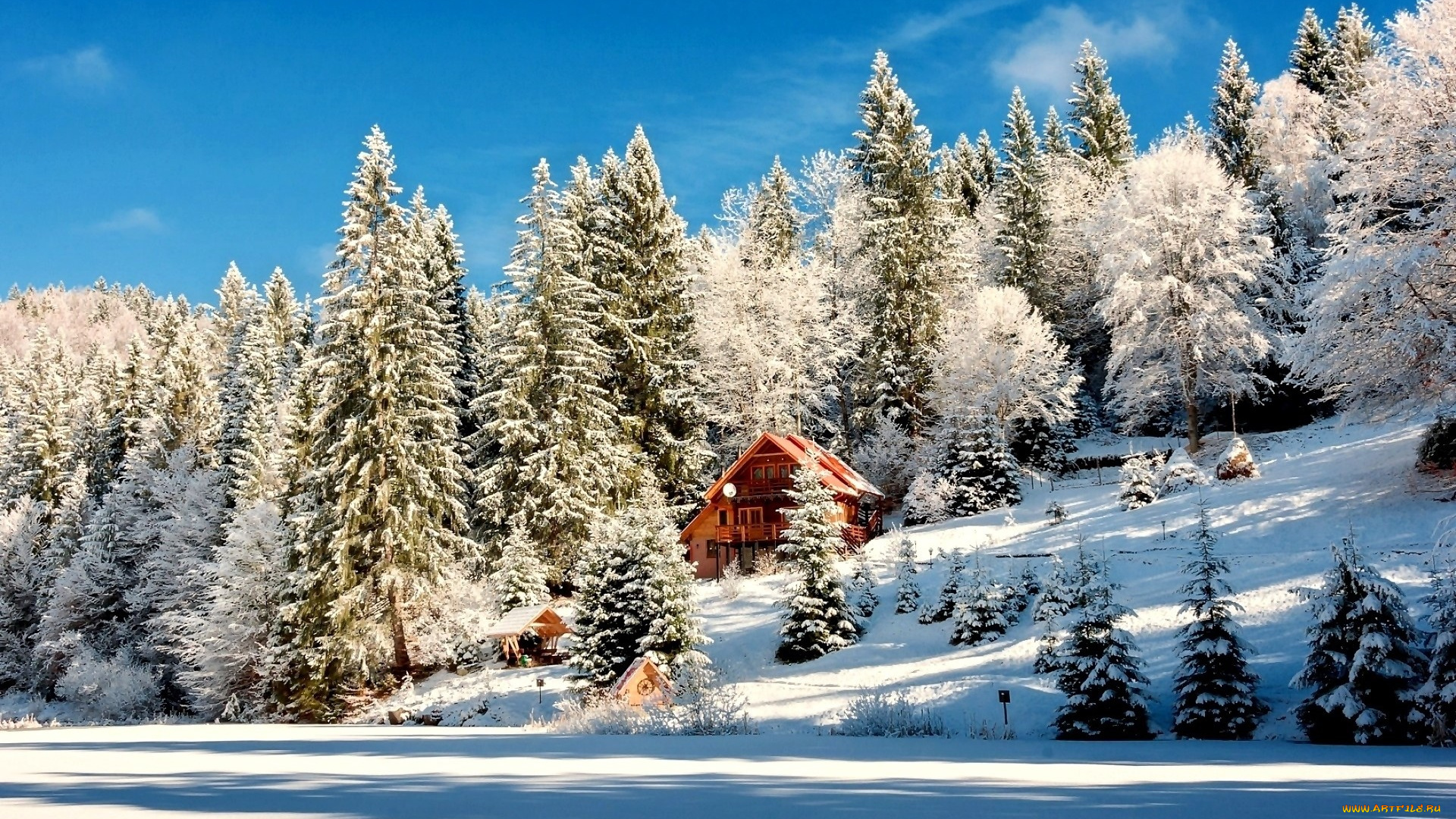 природа, зима, лес, небо, снег