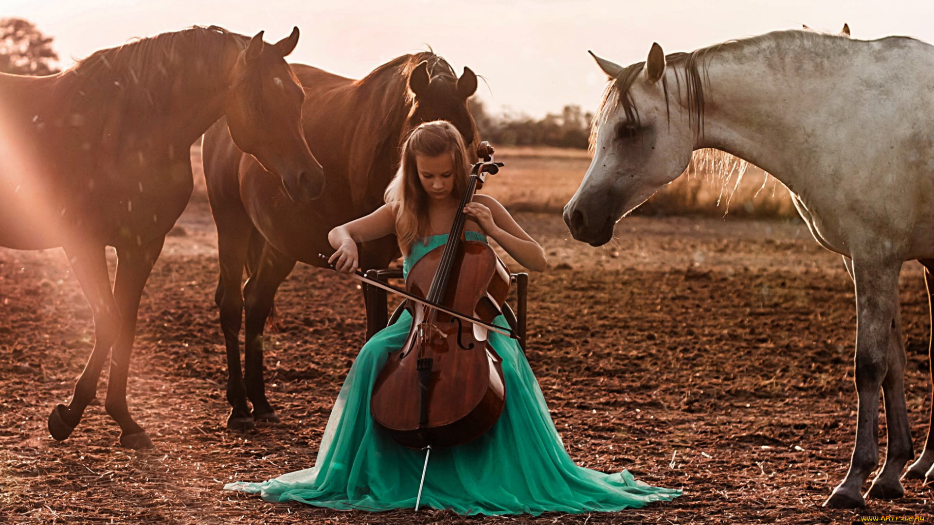 музыка, -другое, природа, конь, лошадь, виолончель, девушка