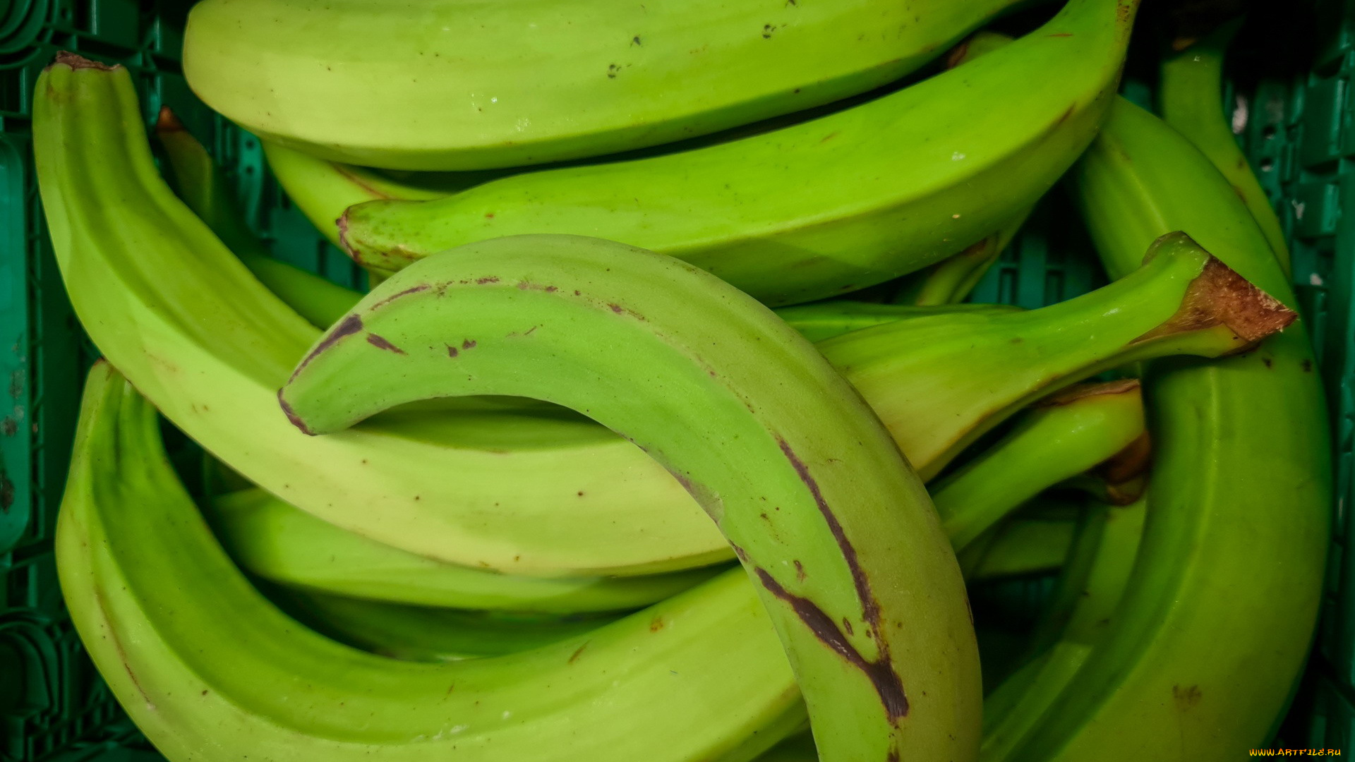 еда, бананы, зеленые