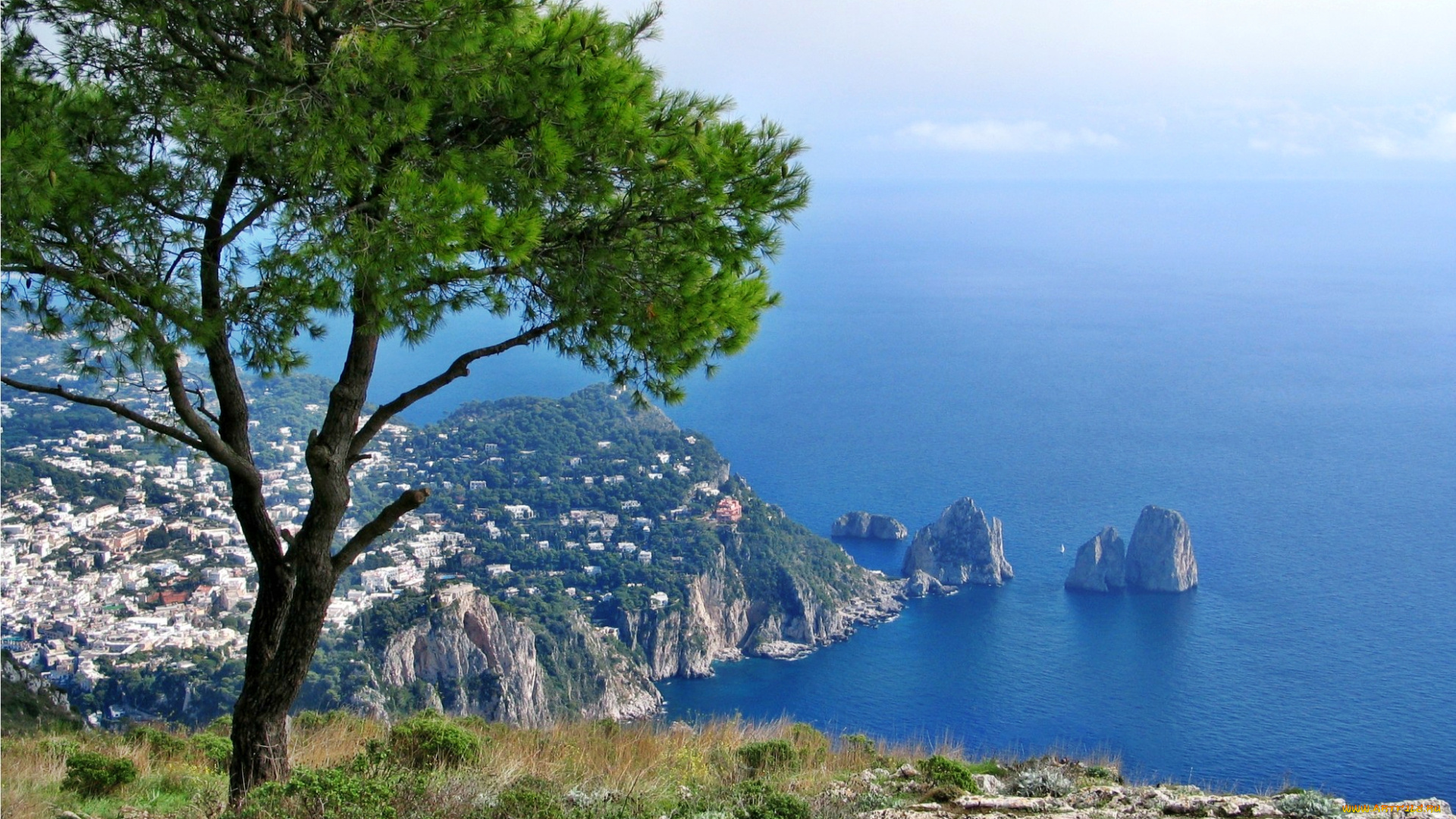 capri, природа, побережье, скалы, дерево, панорама, горы, горизонт, море