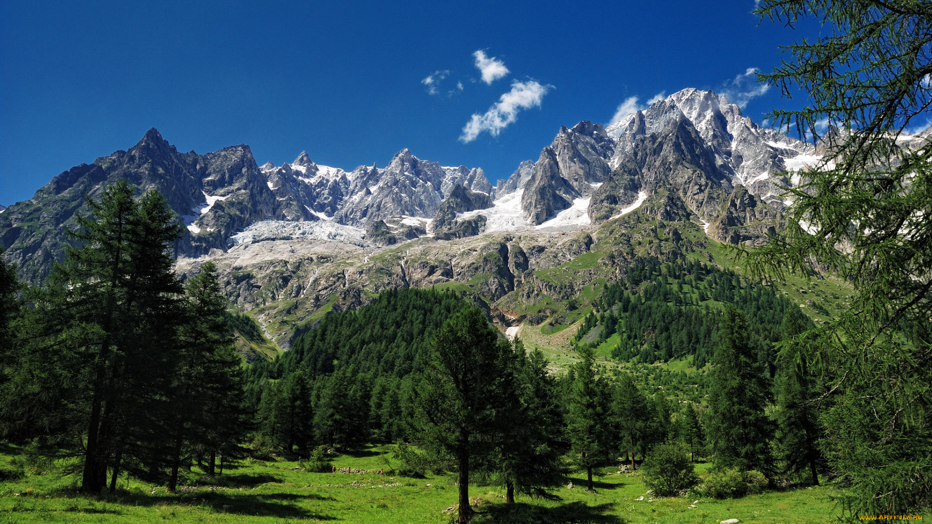 mont, blanc, alps, природа, горы, деревья, альпы, монблан