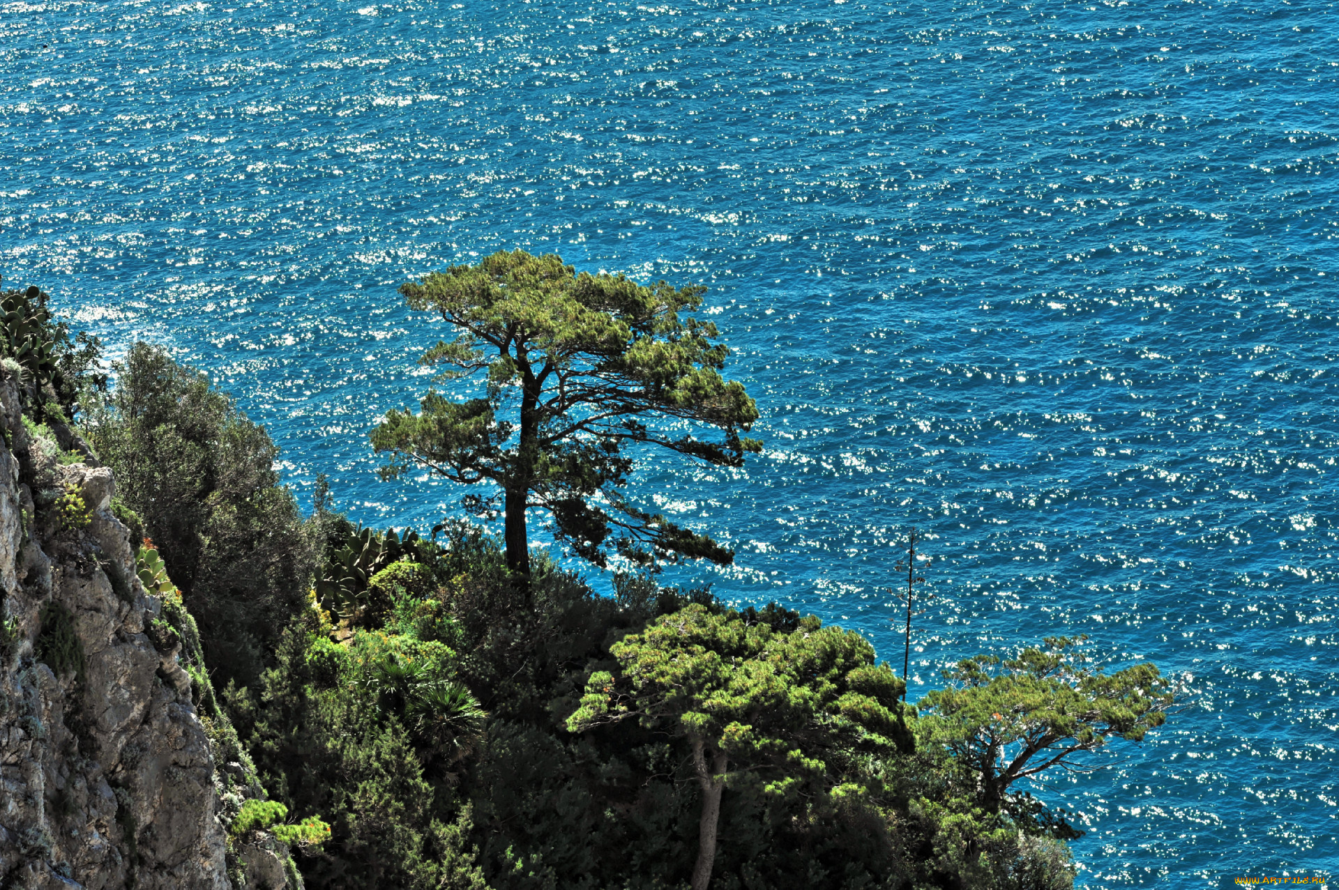 capri, природа, побережье, море, рябь, деревья, скалы
