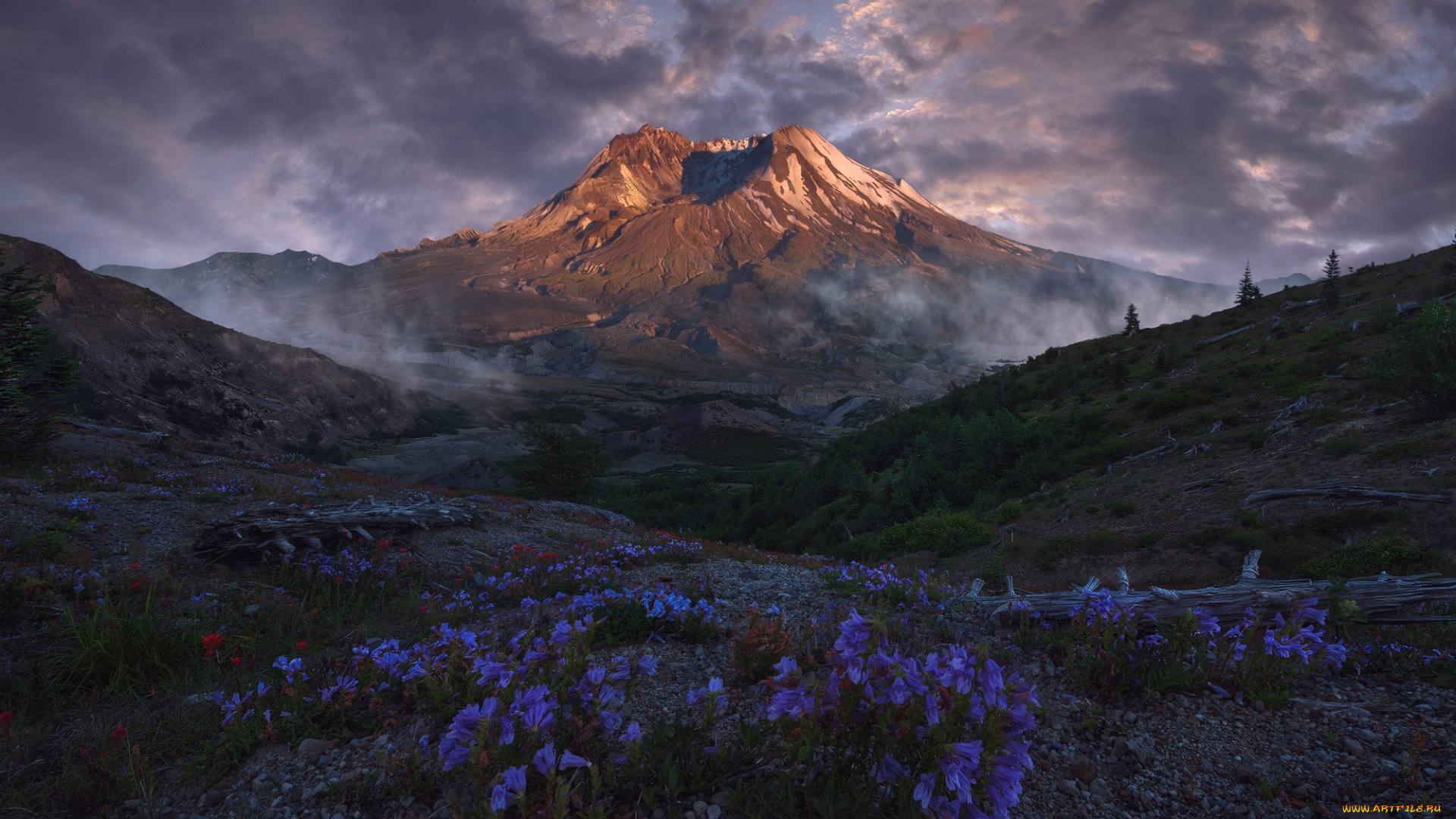 природа, горы, вулкан, пейзаж, цветы