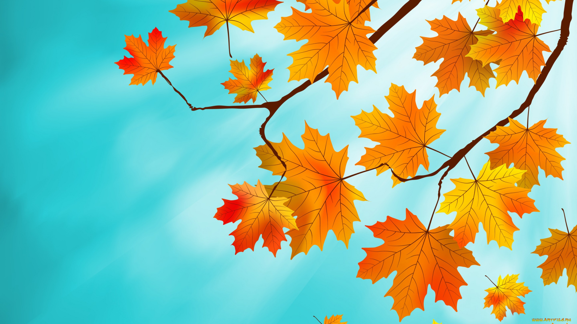 векторная, графика, природа, , nature, autumn, листья, maple, leaves, фон, осенние