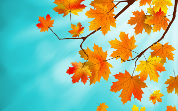 Картинка векторная+графика природа+ nature autumn листья maple leaves фон осенние