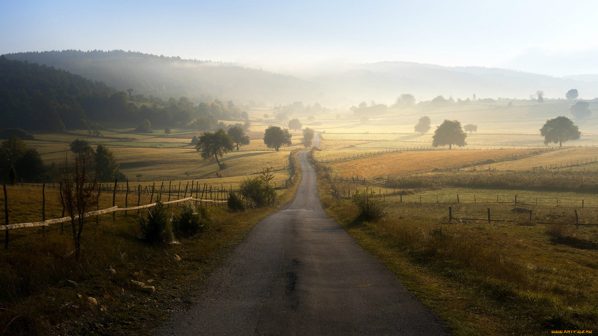 природа, дороги, поля, дорога, в, даль, bosnia, and, herzegovina, утренний, туман