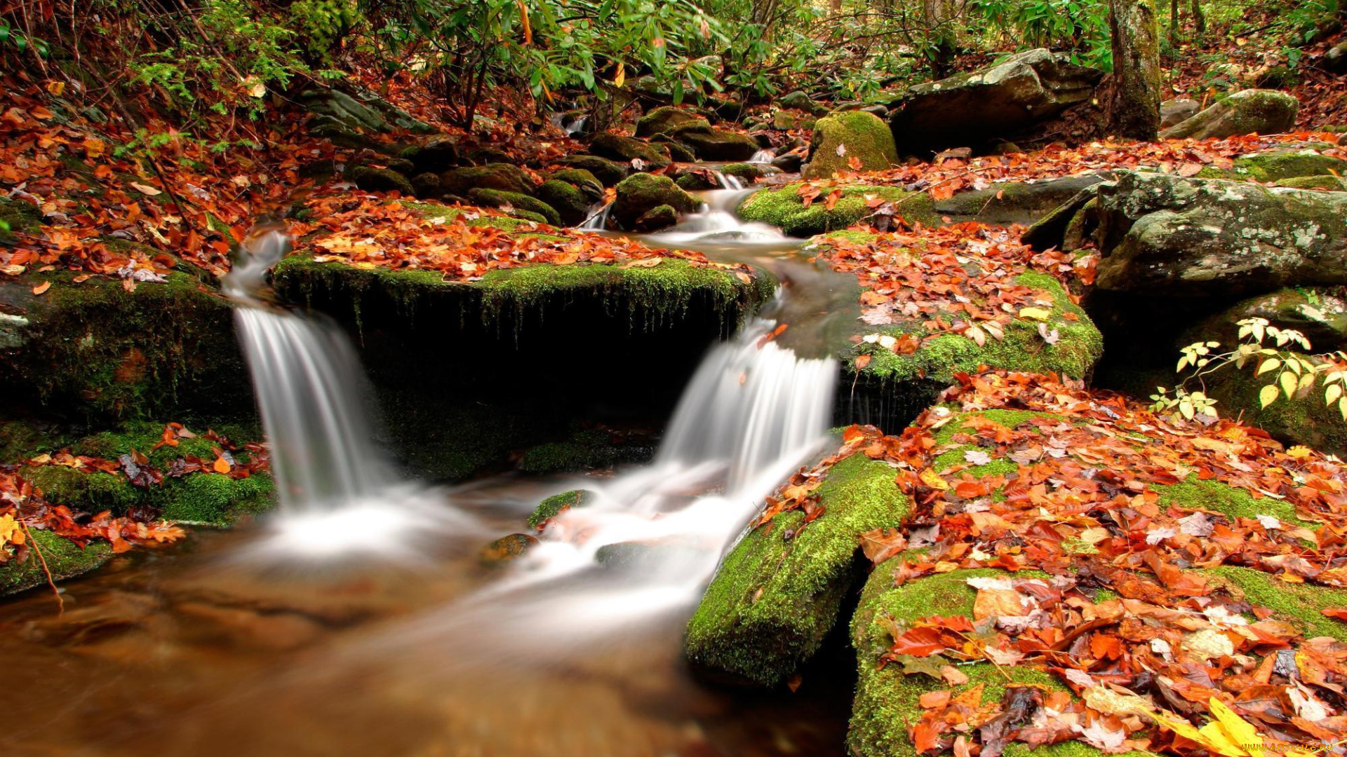 природа, водопады, река, лес, камни, листья, деревья, осень