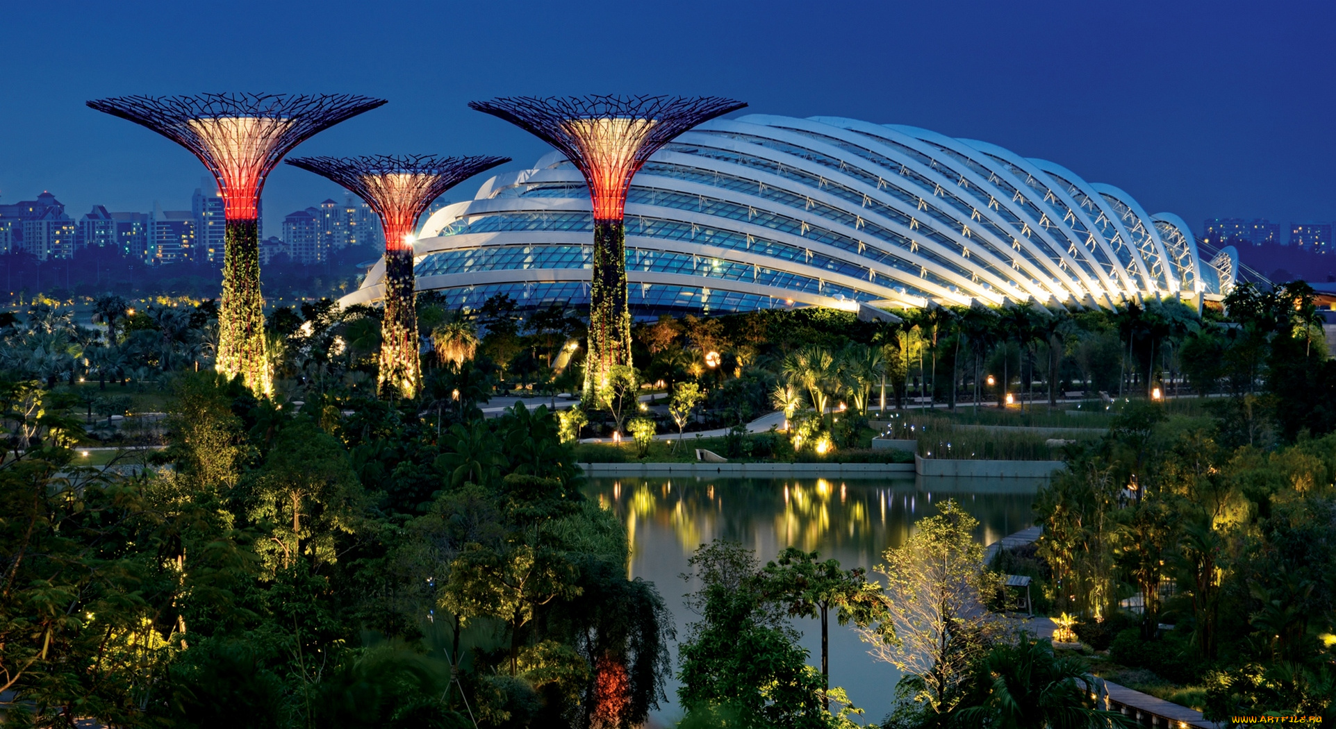 города, сингапур, освещение, сад, оригинальный, дизайн, залив