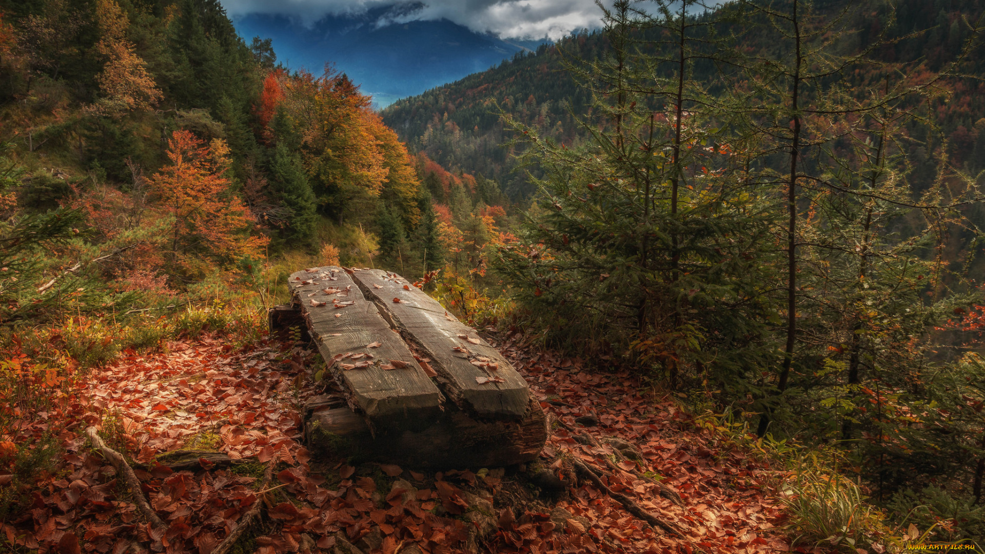природа, горы, лес, скамейка, осень