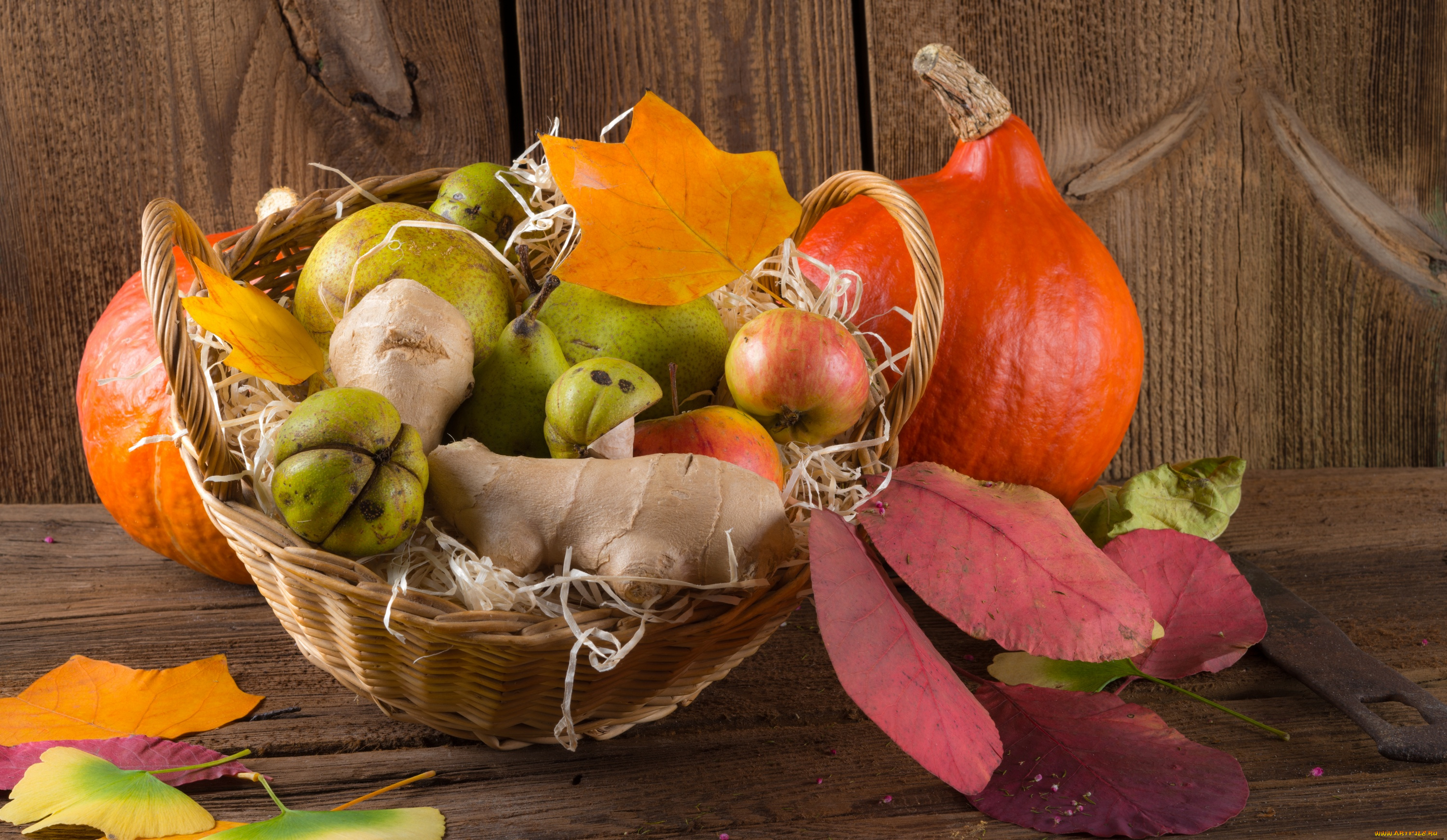 еда, фрукты, и, овощи, вместе, фрукты, дары, осени, груши, корзина, яблоки, листья