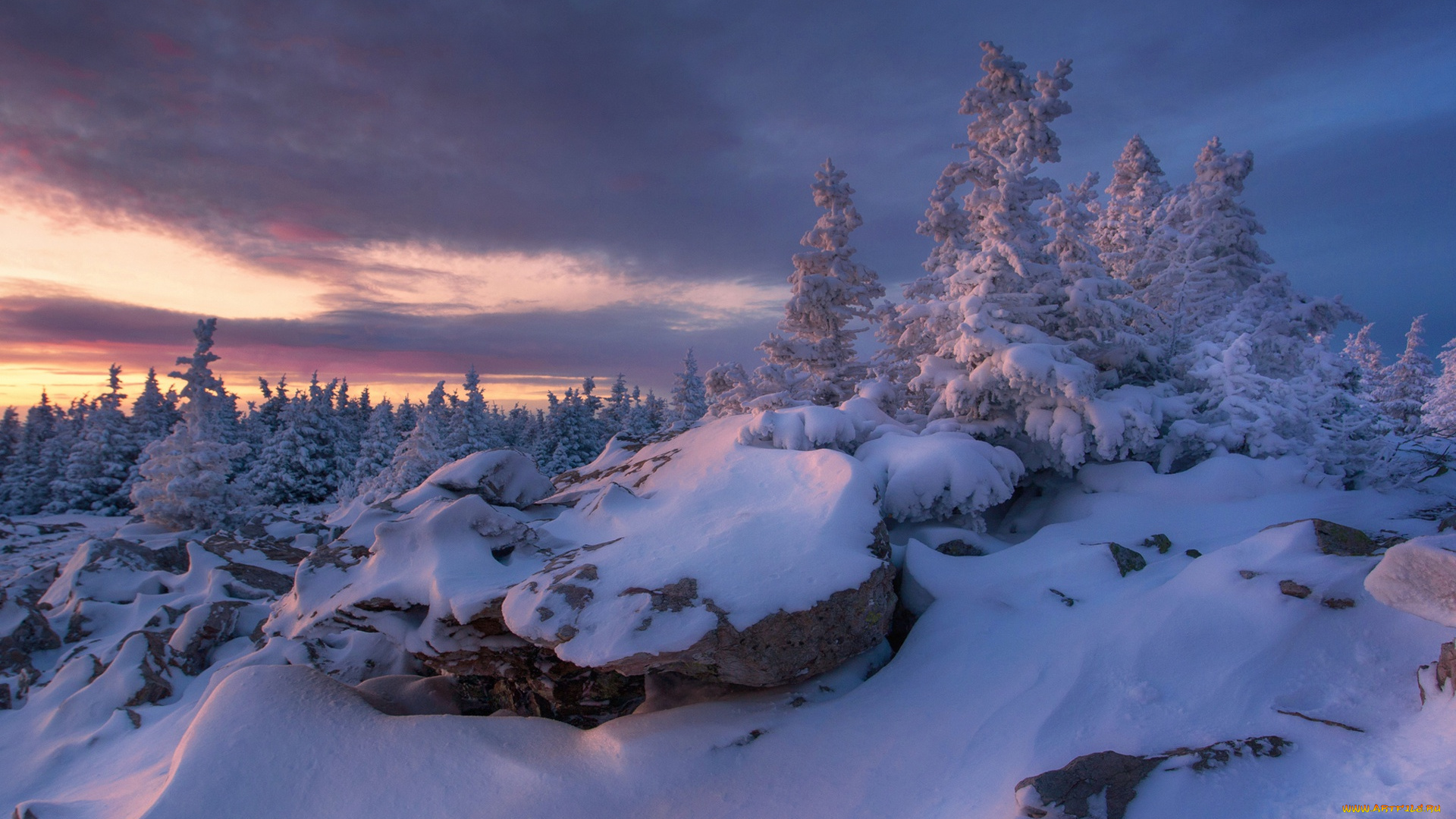 природа, зима, холод, деревья, снег, россия