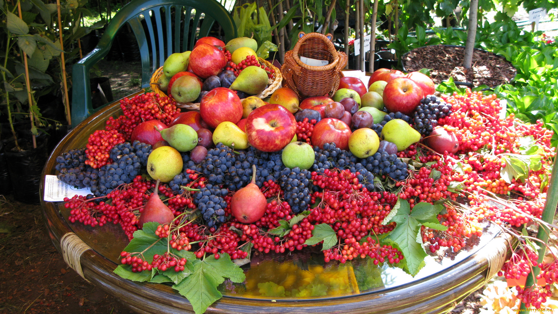 еда, фрукты, ягоды, виноград, яблоки, слтвы, груши