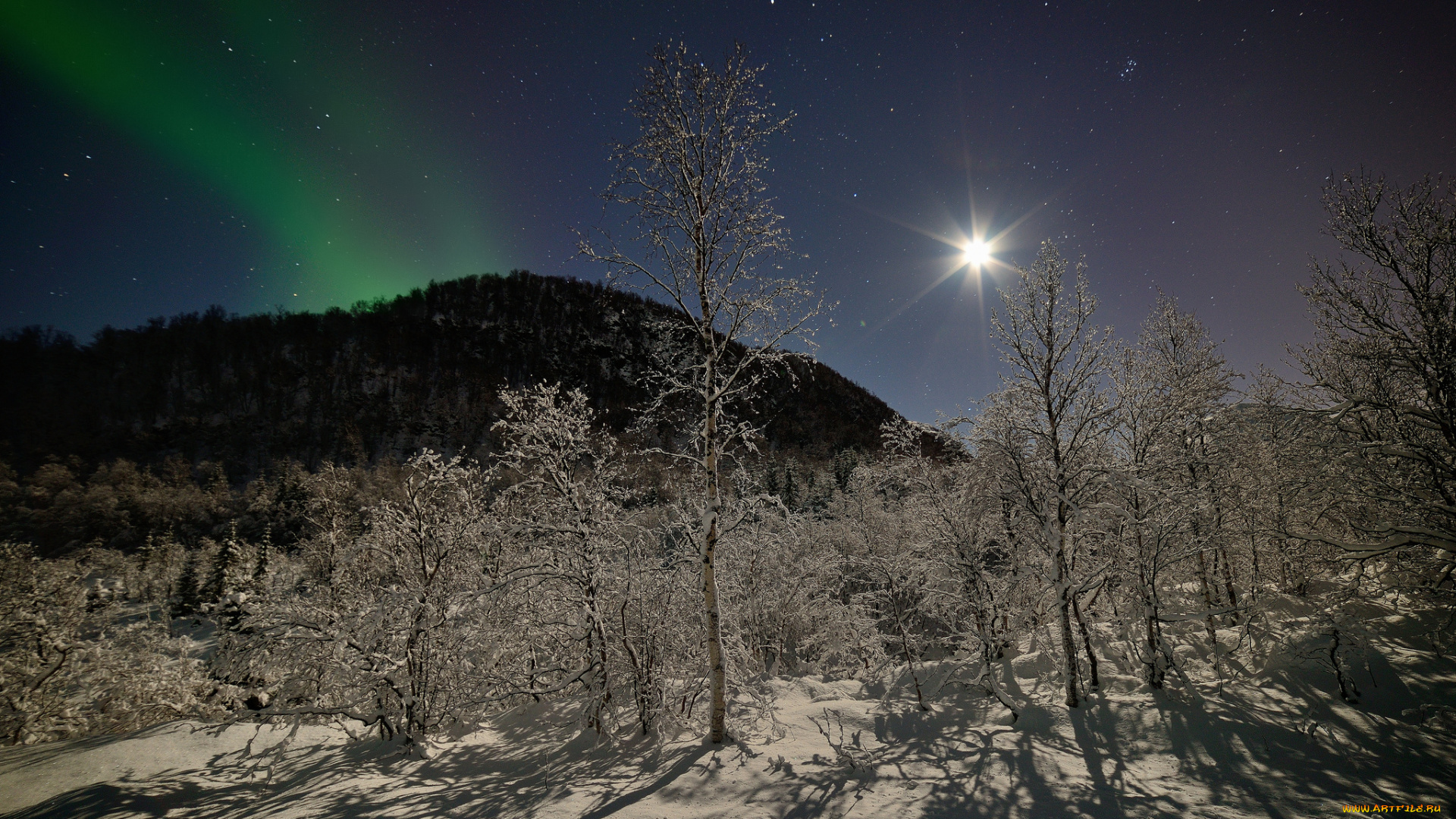 природа, северное, сияние, ночь, норвегия, сияние, луна, звезды, зима, снег, деревья, лес, горы