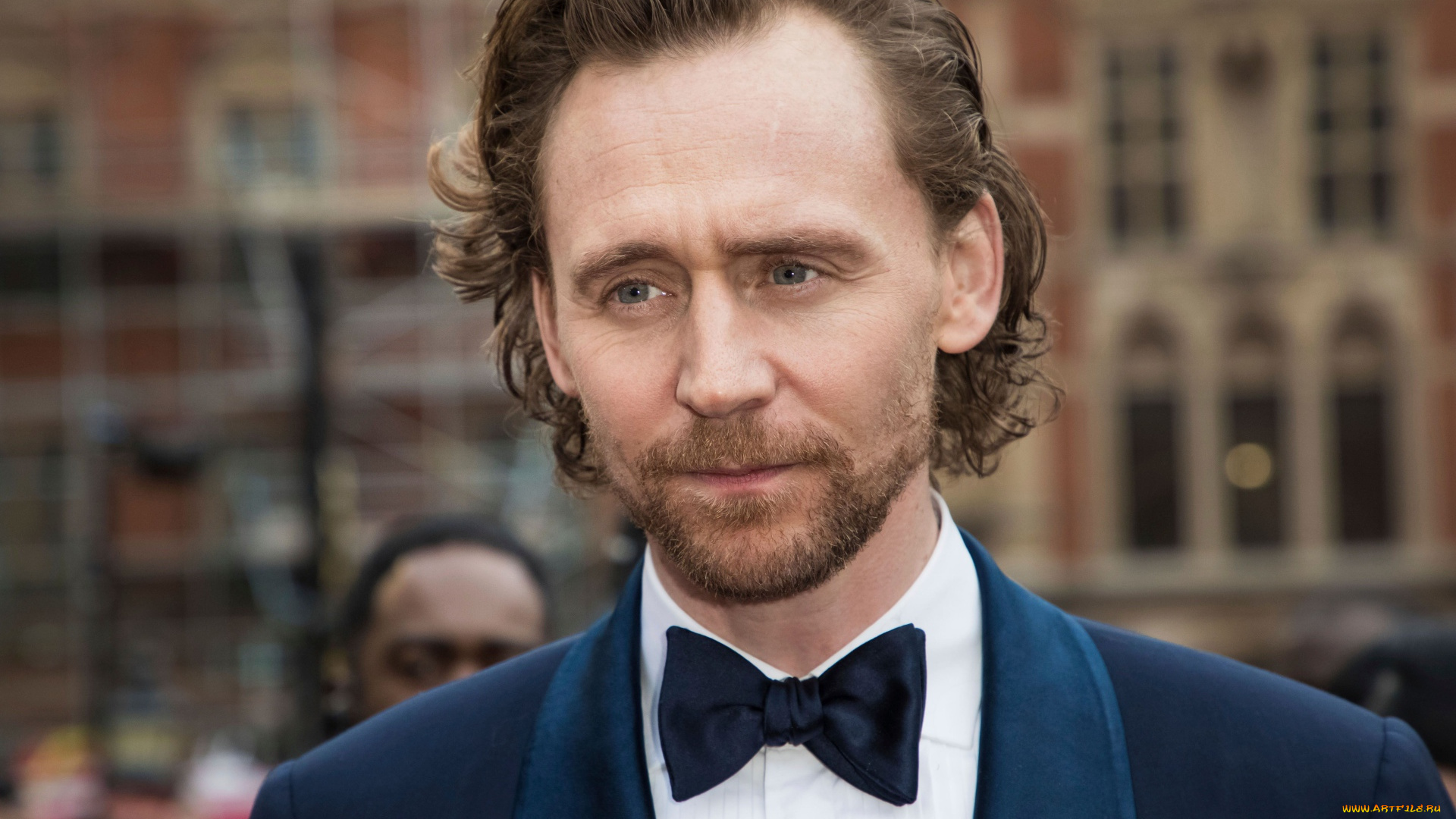 мужчины, tom, hiddleston, актер, лицо, борода, костюм