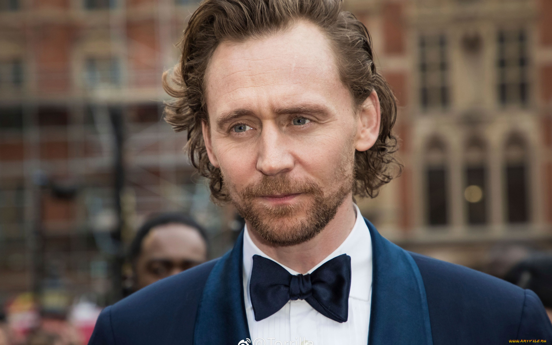мужчины, tom, hiddleston, актер, лицо, борода, костюм