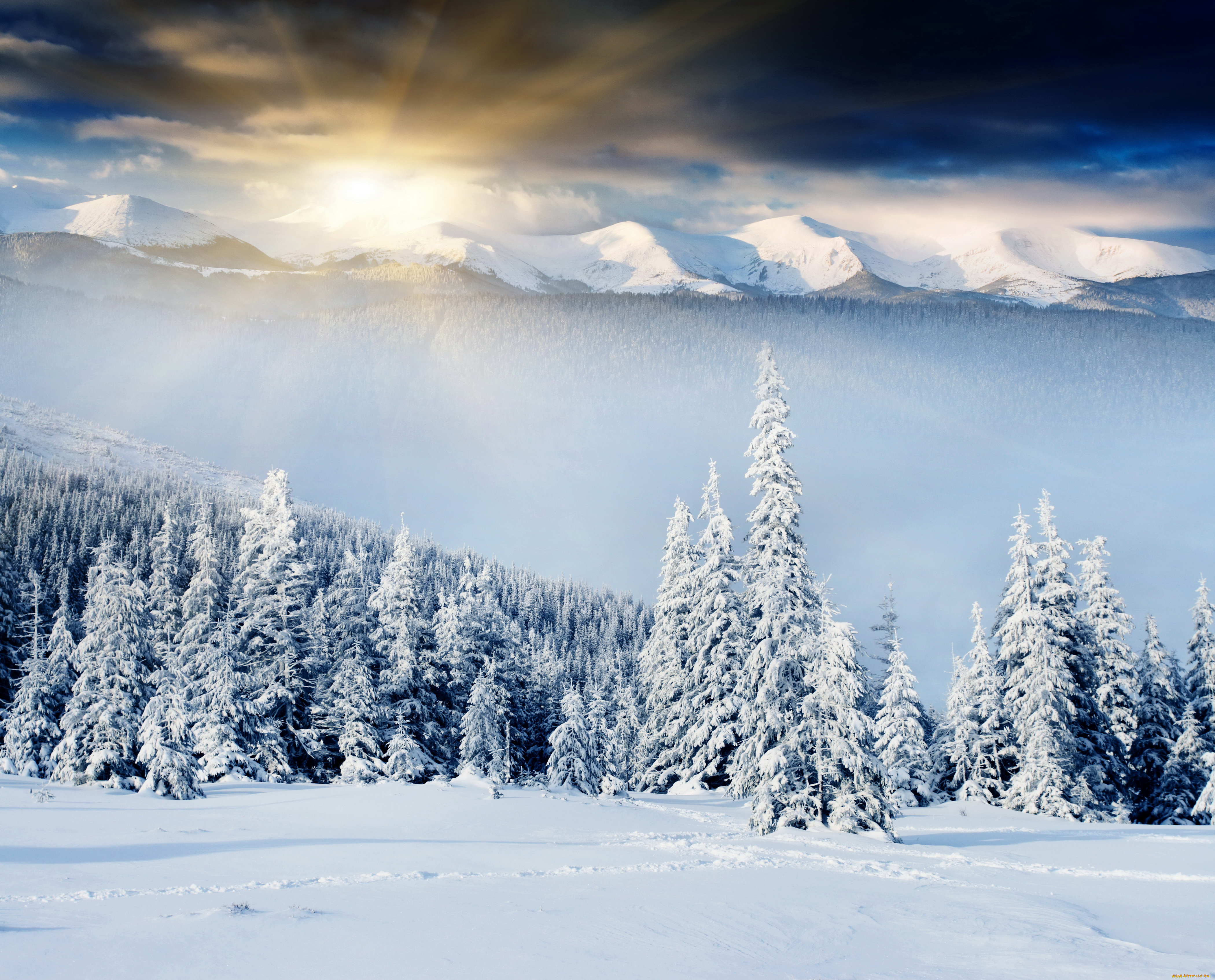 природа, зима, снег, ели, пейзаж, горы, восход