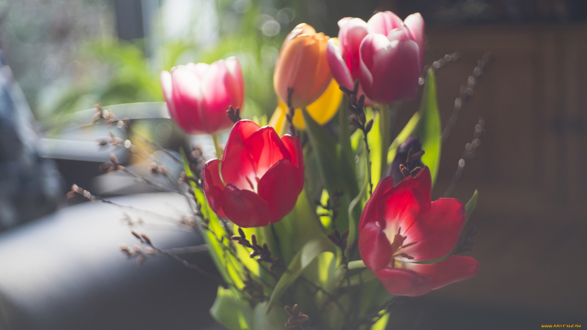 цветы, тюльпаны, фон, букет