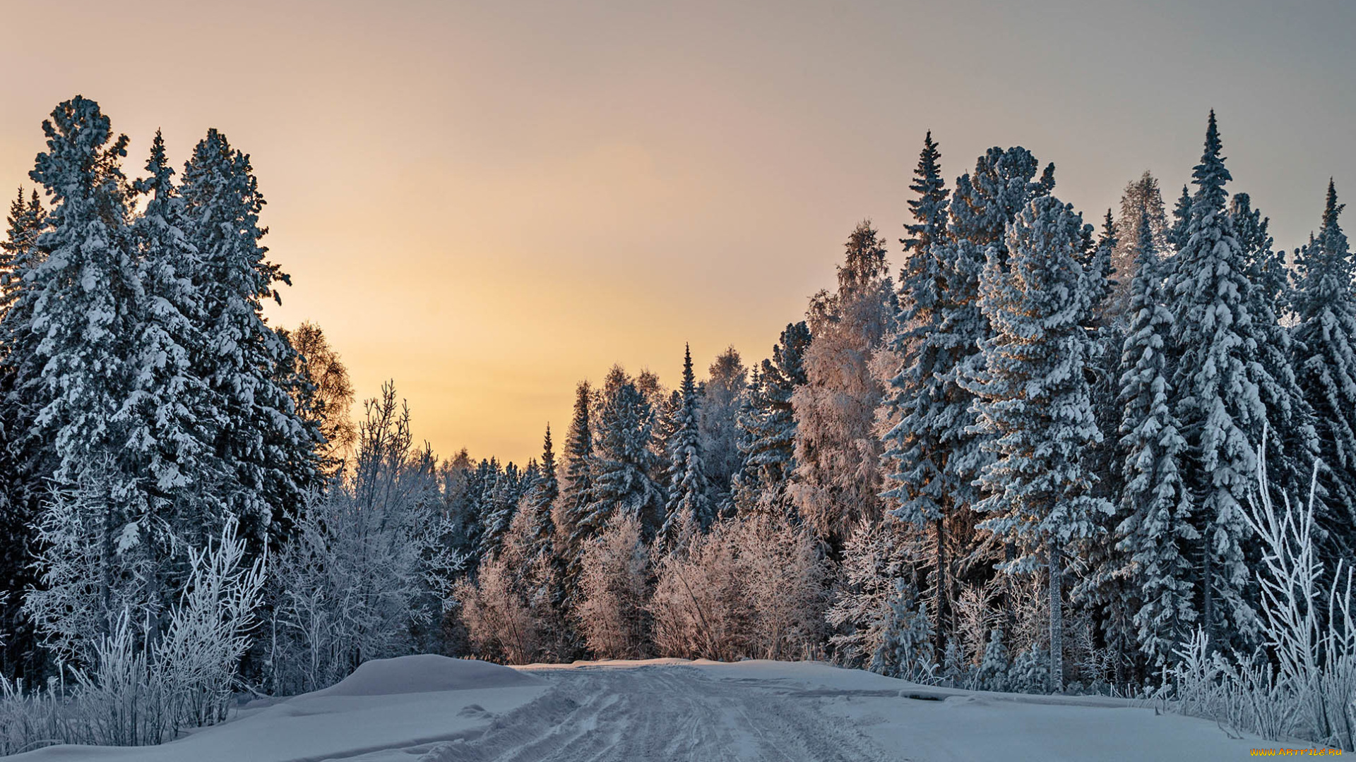 природа, зима, лес, дорога