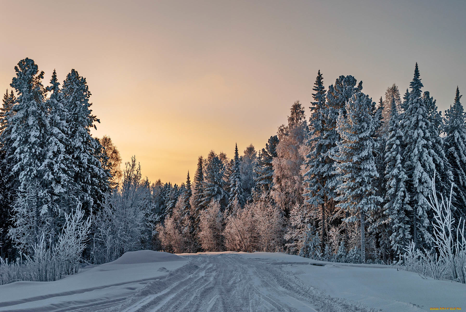 природа, зима, лес, дорога