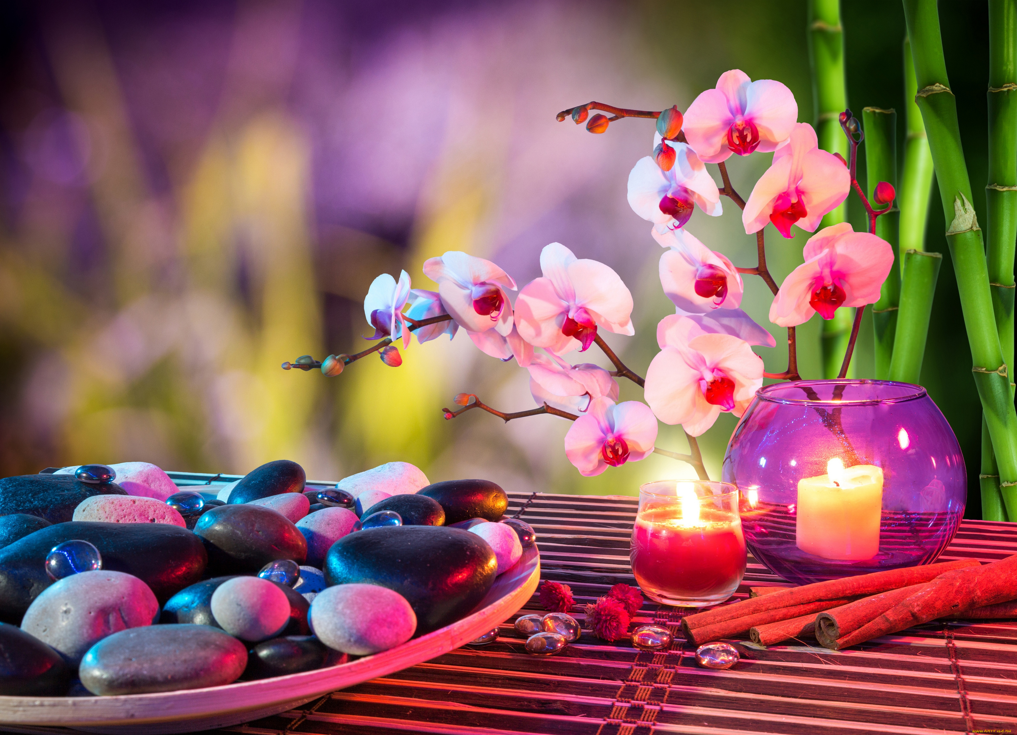 разное, свечи, спа, орхидея, цветок, камни, свеча, корица, бамбук