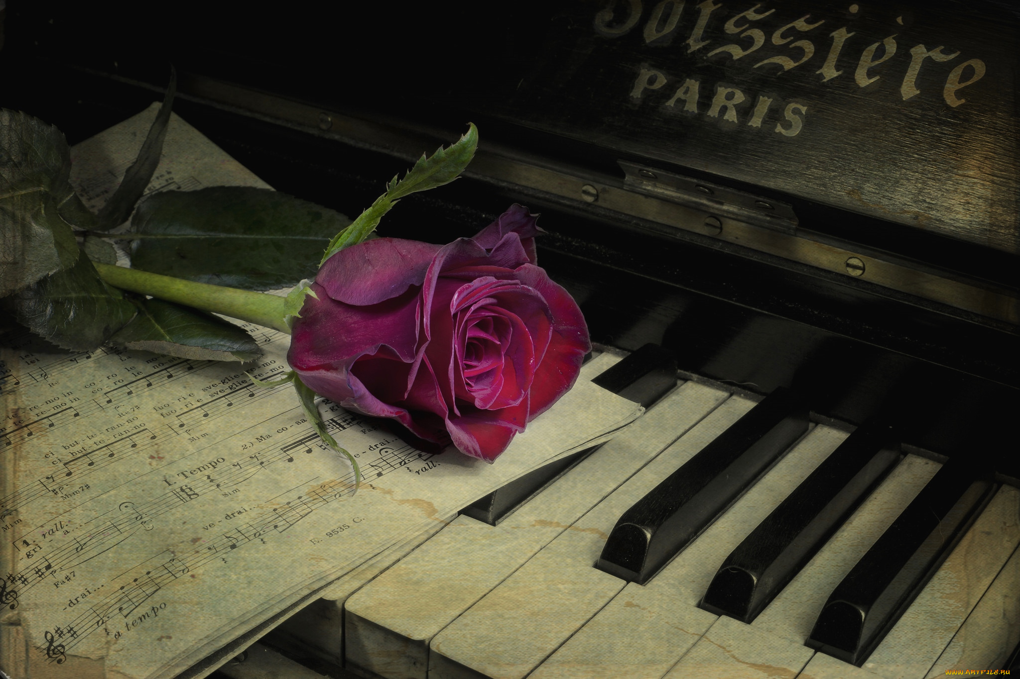 цветы, розы, бутон, пианино