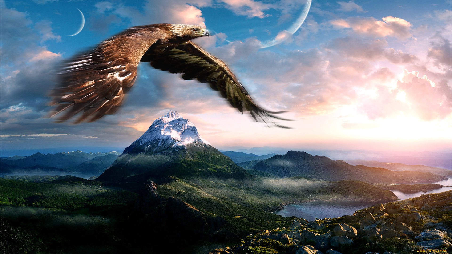 животные, птицы, -, хищники, орел, горы, полет, небо, фон