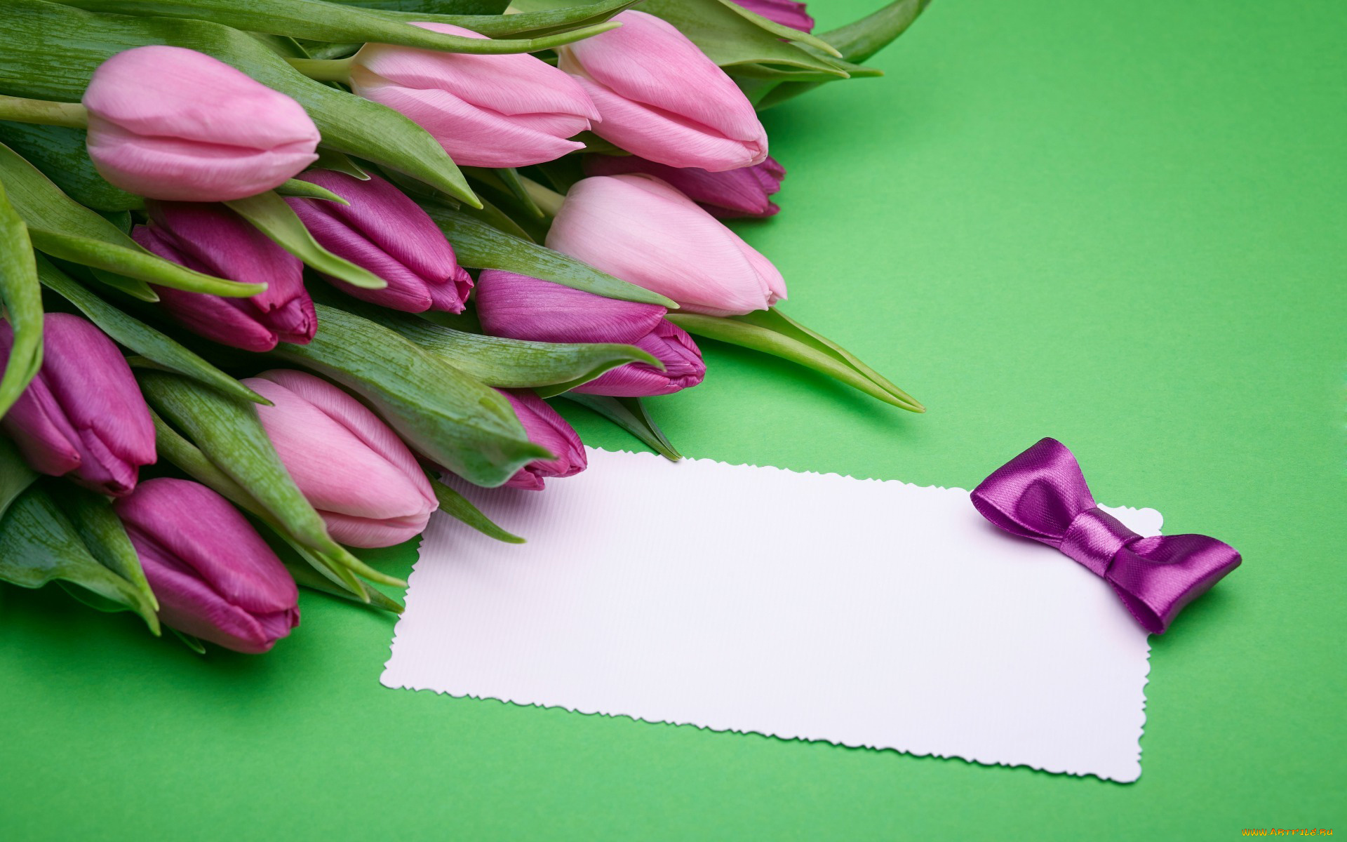 цветы, тюльпаны, лиловый, бутоны, бант, записка, бумага