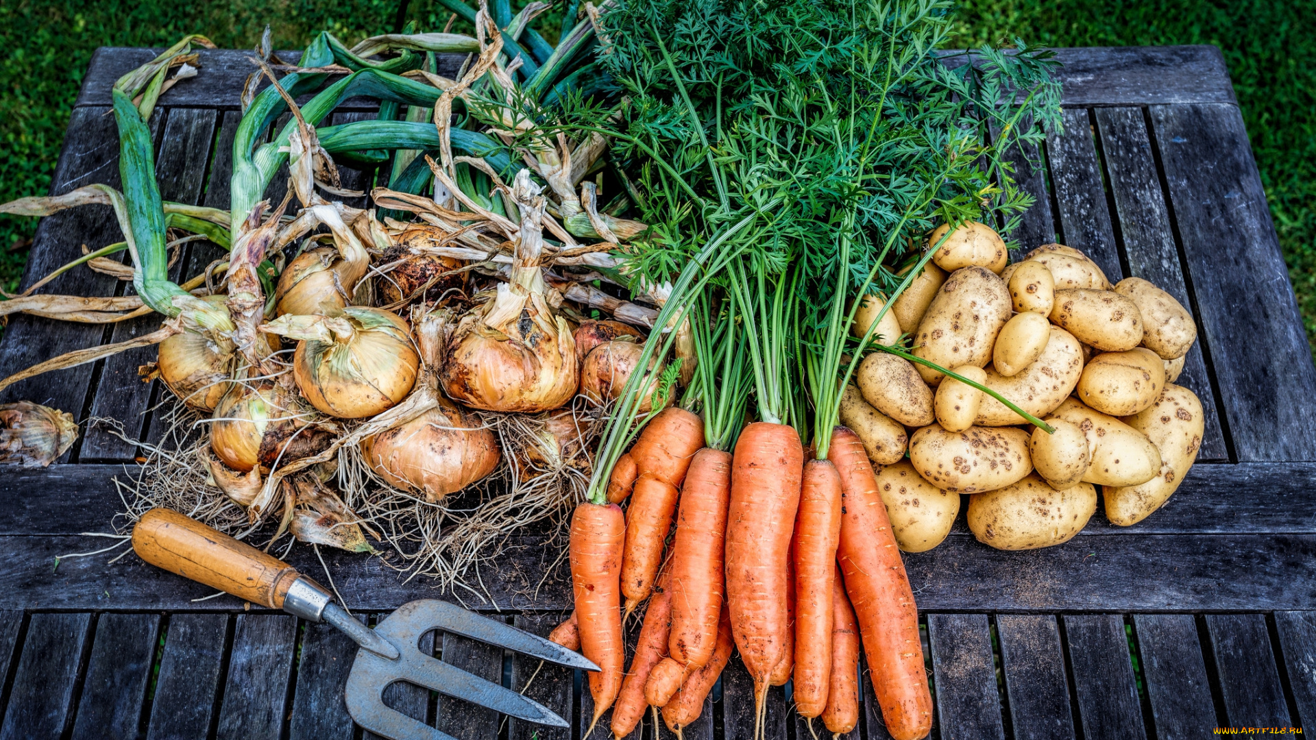 еда, овощи, лук, морковь, картошка