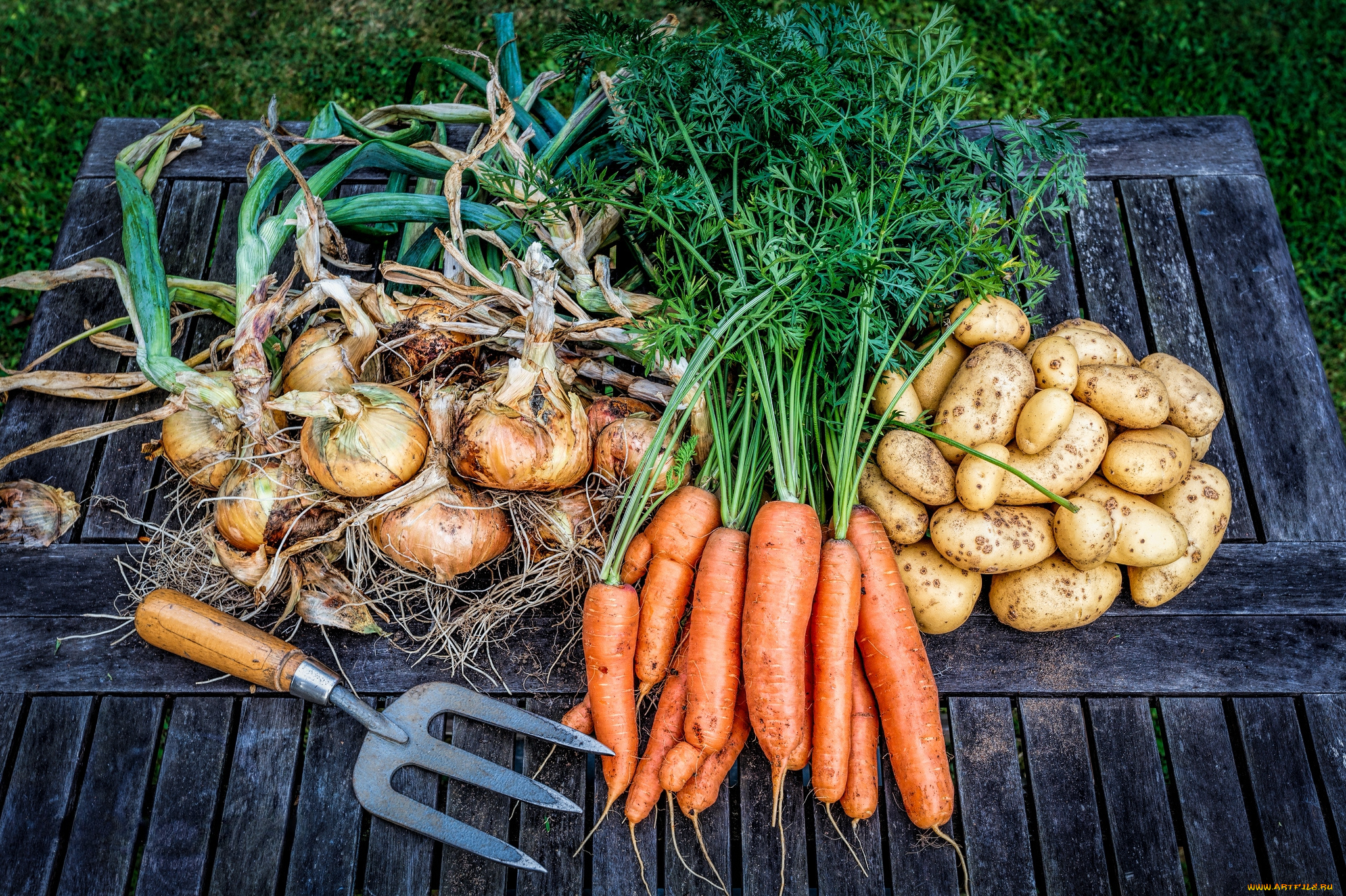 еда, овощи, лук, морковь, картошка