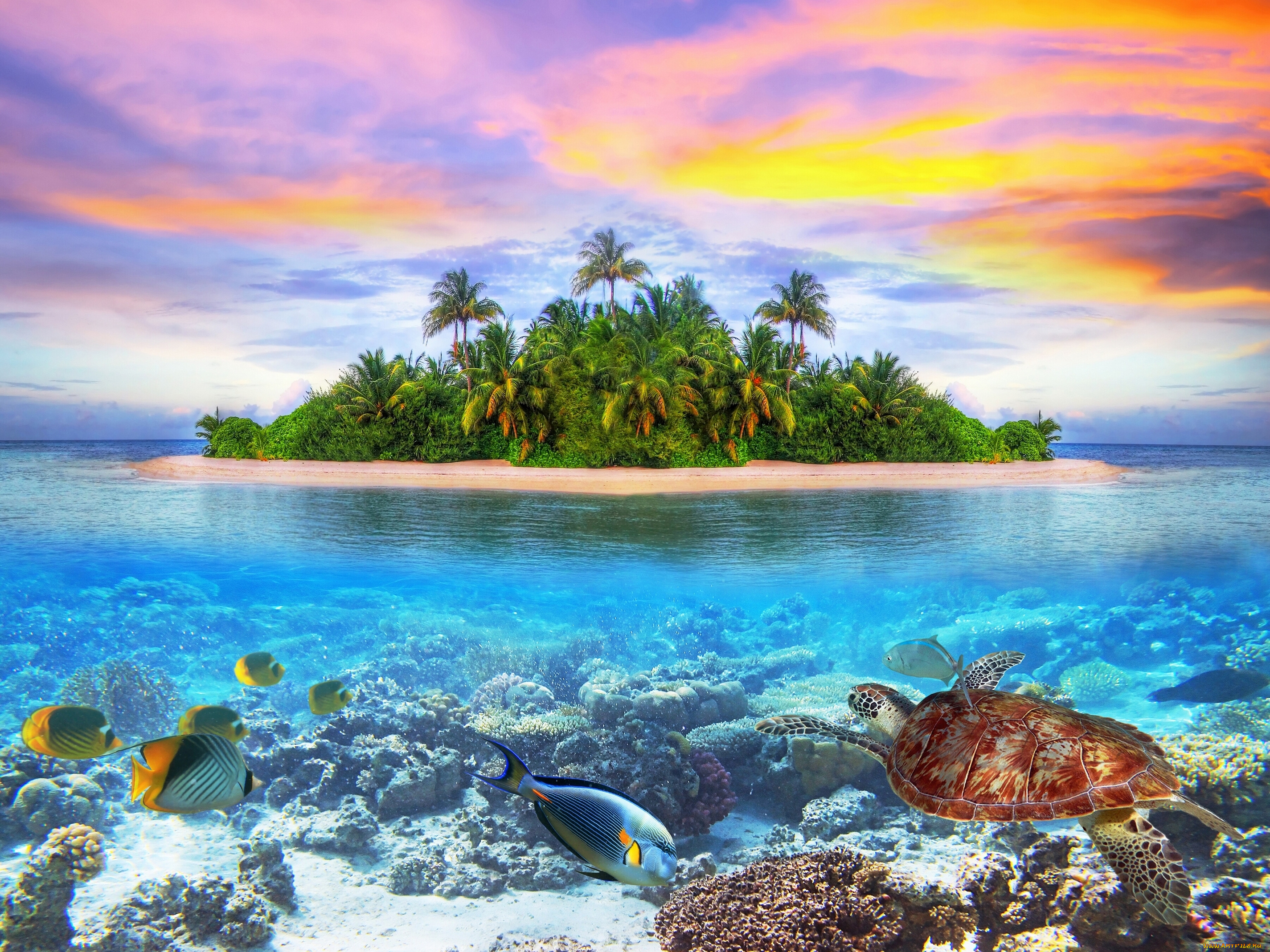 maldives, природа, тропики, indian, ocean, arabian, sea, мальдивы, индийский, океан, аравийское, море, остров, морское, дно, рыбы, черепаха, кораллы, закат