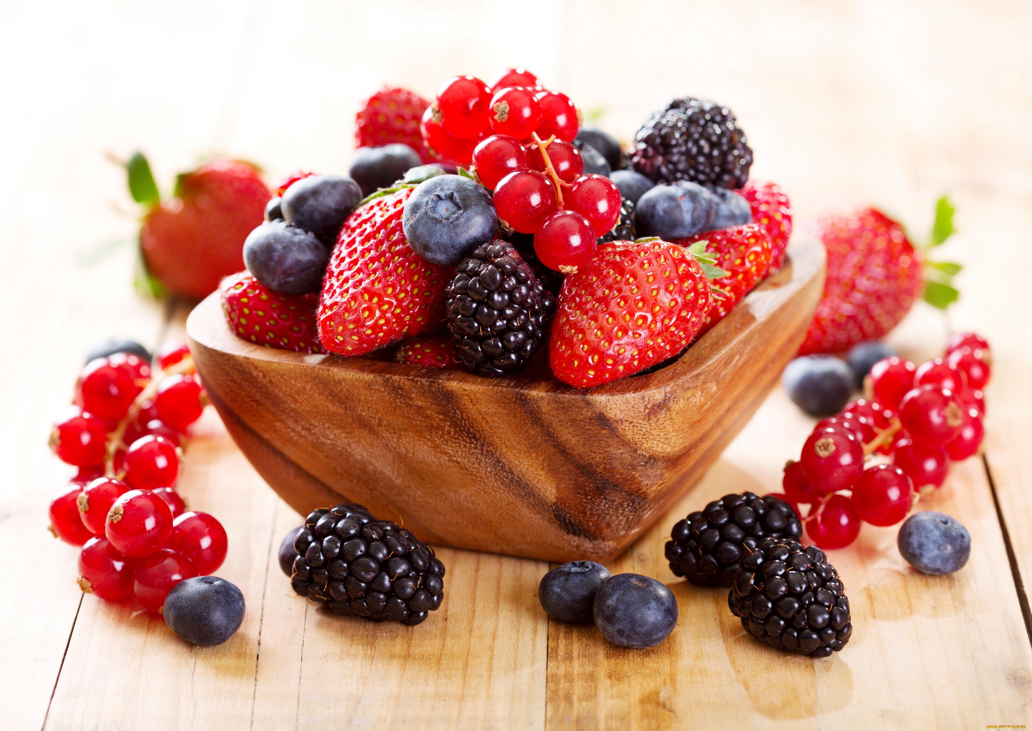 еда, фрукты, , ягоды, ежевика, клубника, ягоды, миска, красная, смородина, голубика