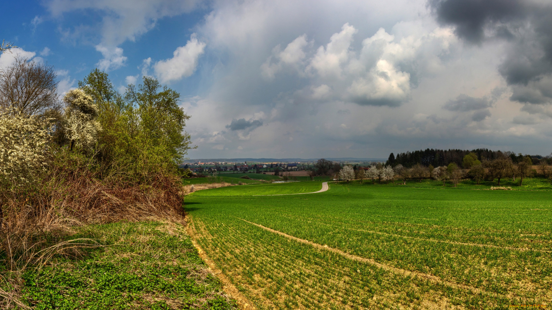природа, поля, германия, дома, пасмурно, деревья, трава, тучи, облака, небо, дорога, schoenbach, бавария