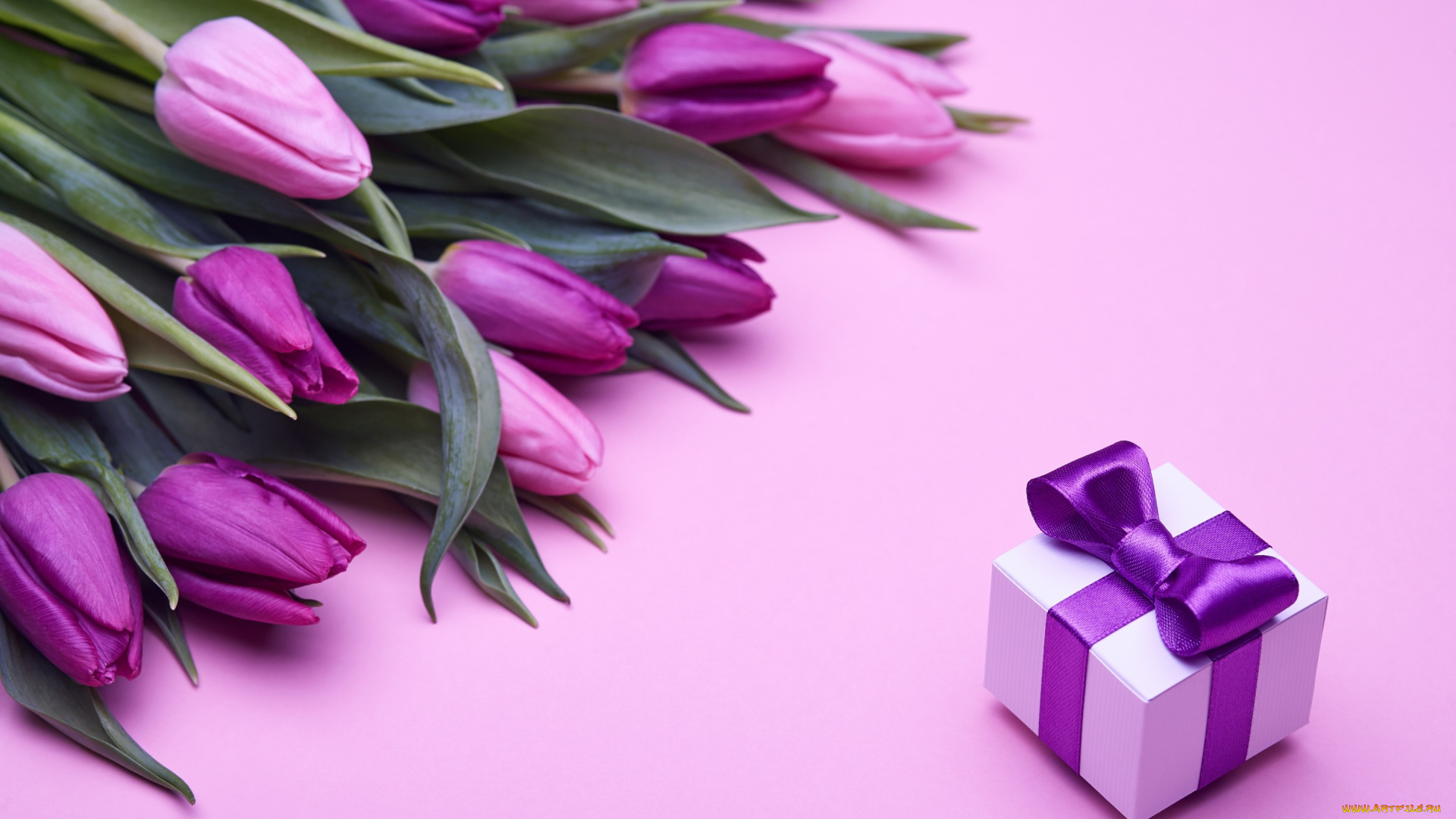 праздничные, подарки, и, коробочки, fresh, розовые, love, бант, romantic, pink, тюльпаны, tulips, gift, purple, букет, flowers