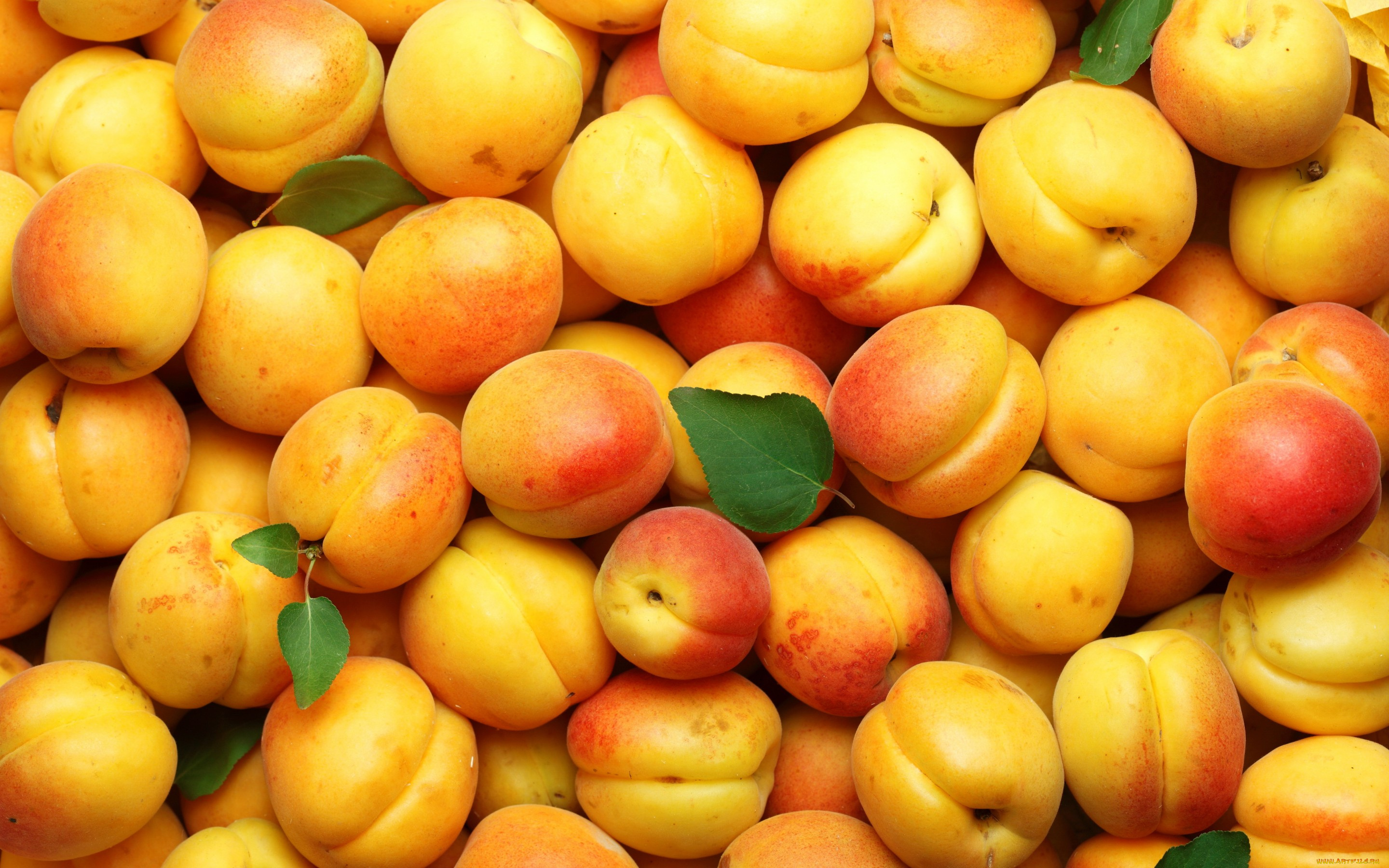 еда, персики, , сливы, , абрикосы, фрукты, apricot, абрикосы